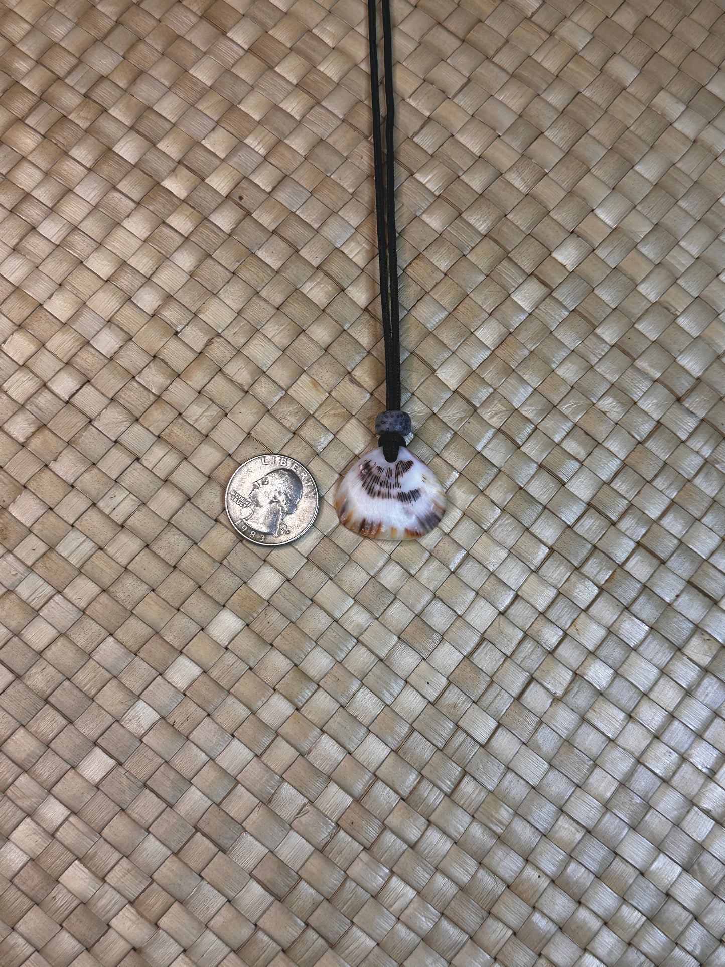 Spondy Shell Necklace 4