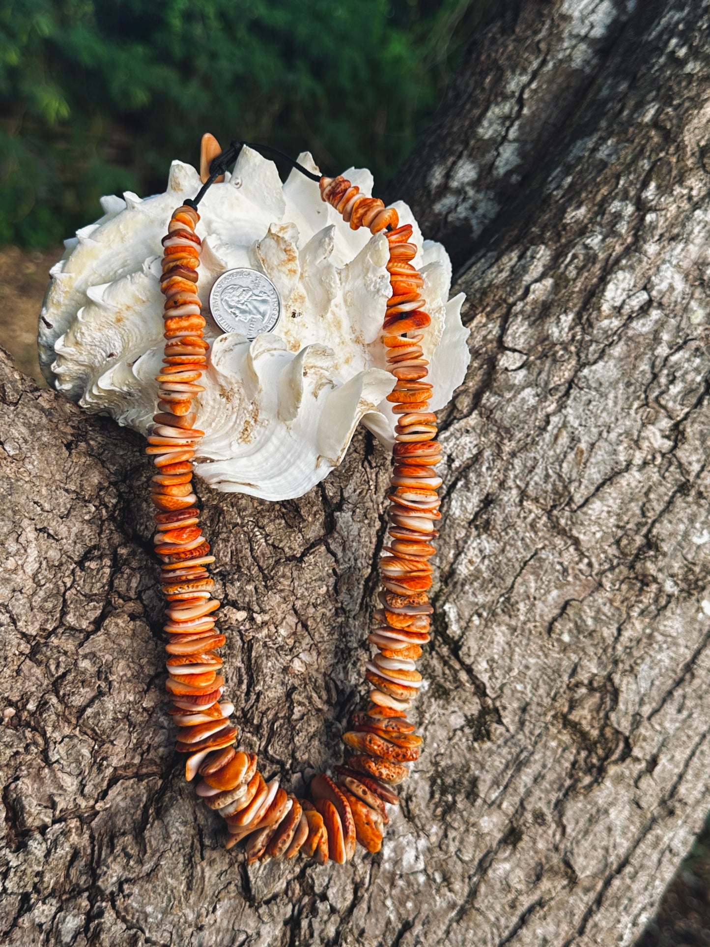 Mariånas Spondy Shard Necklace