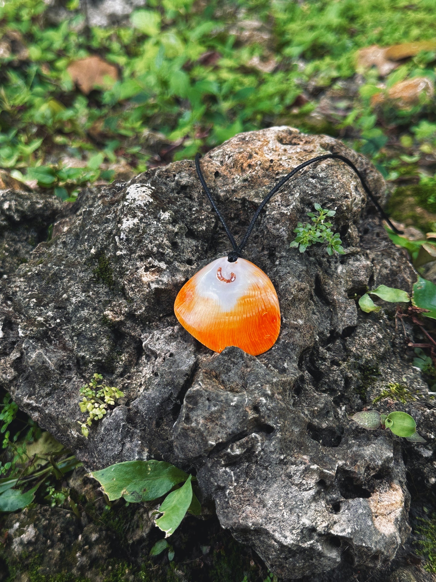 Spondy Shell Necklace 1
