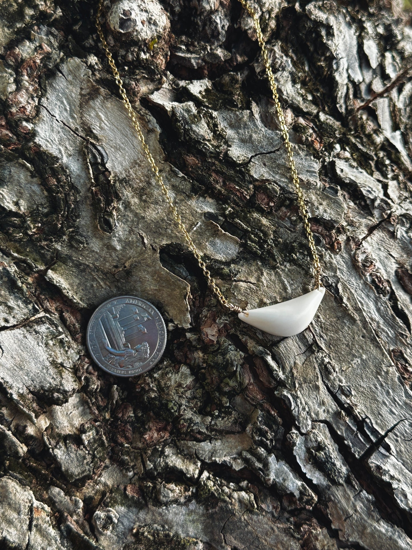 Hima Neni Sinåhi 11