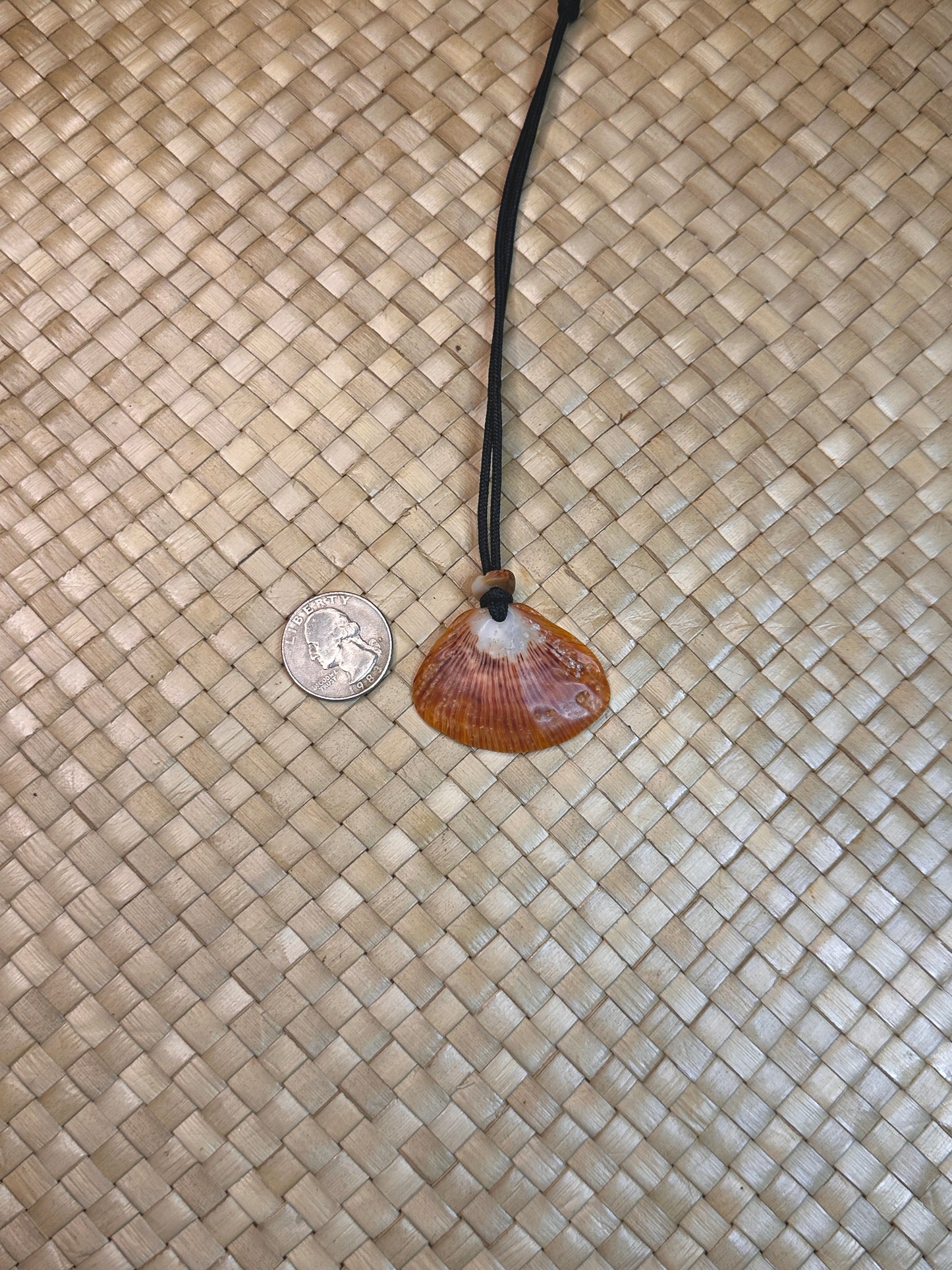 Spondy Shell Necklace 3
