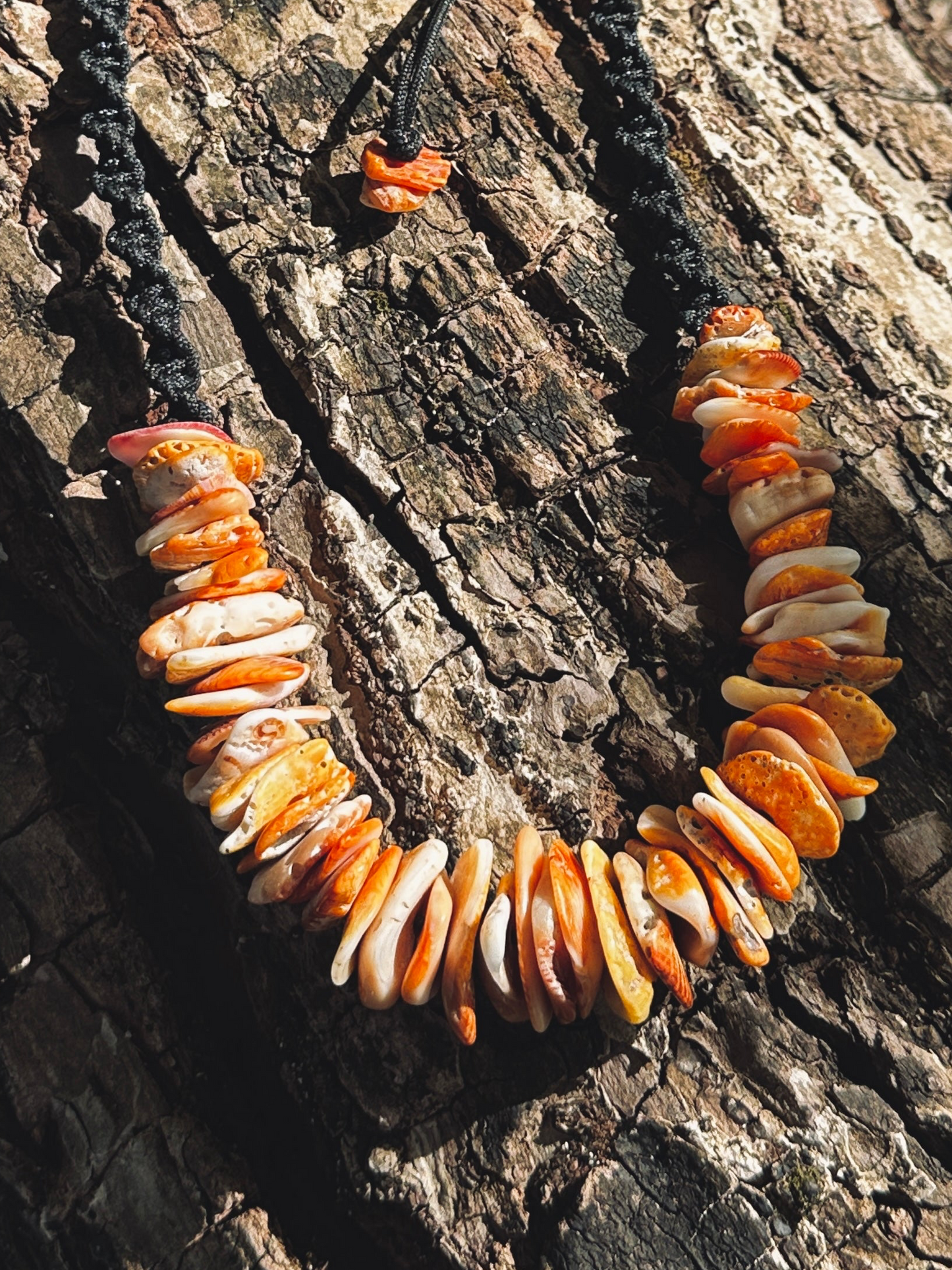 Spondy Shard Necklace