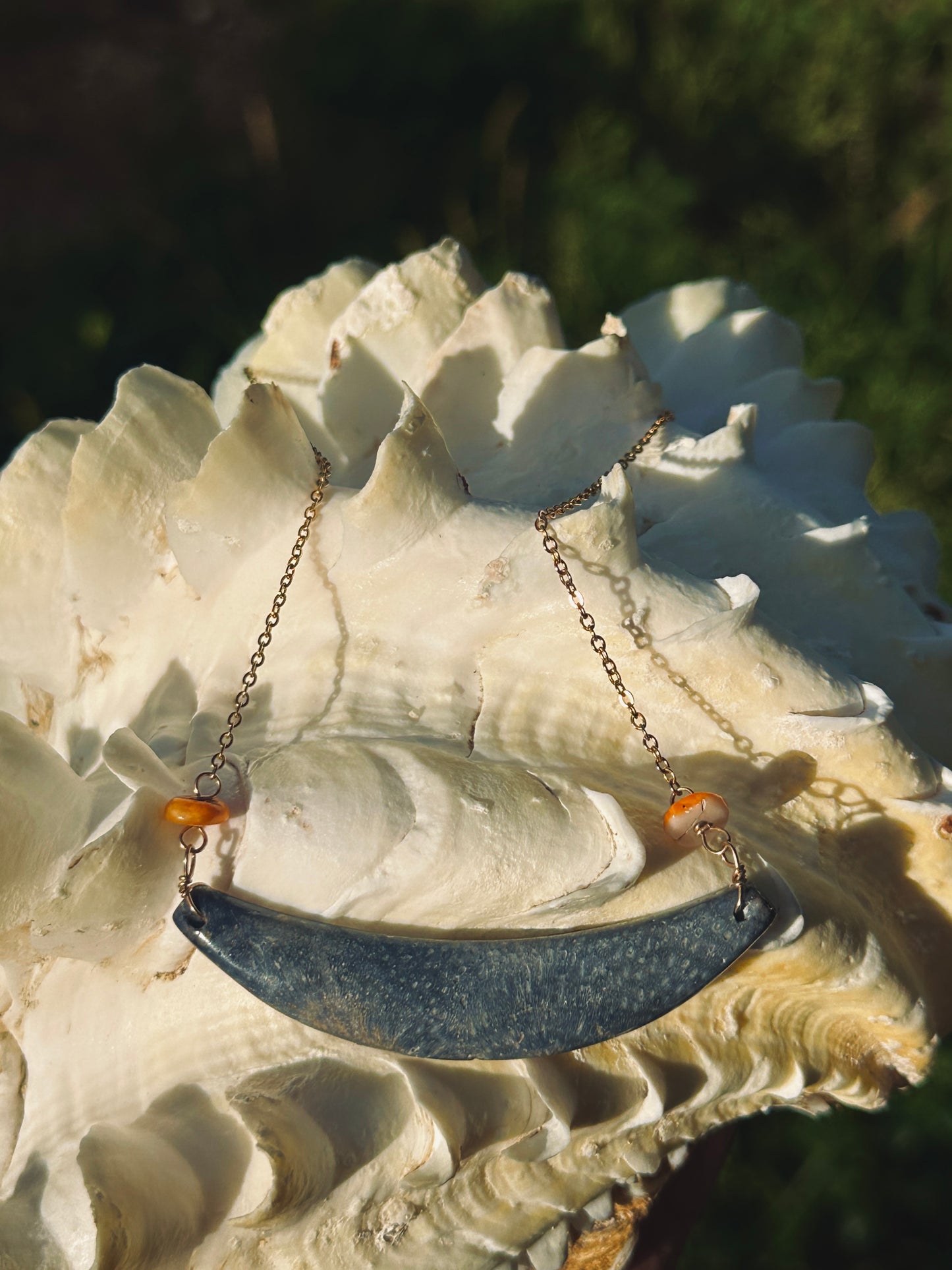 Blue Coral Neni Sinåhi 1