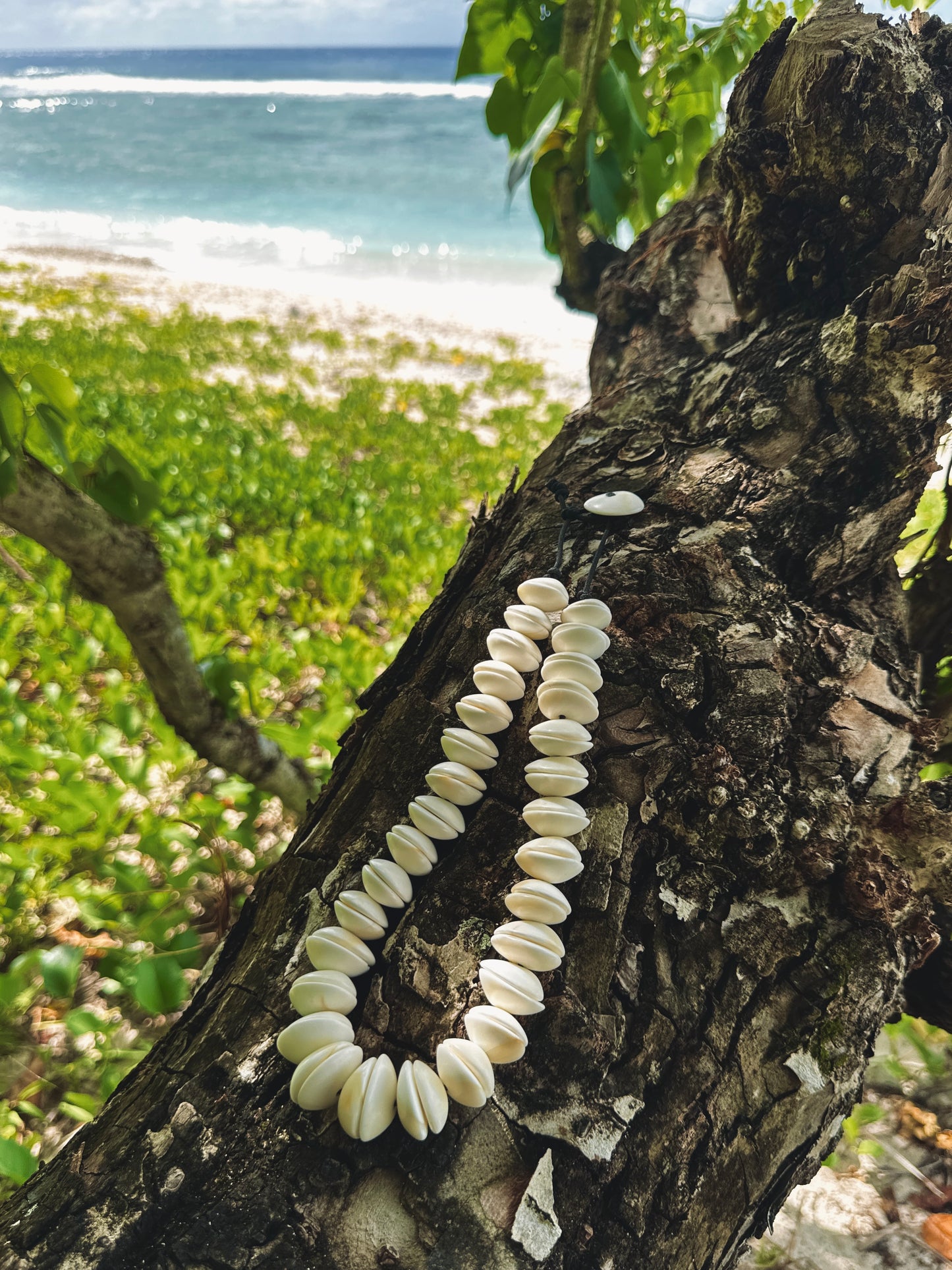 Operculum Full Necklace