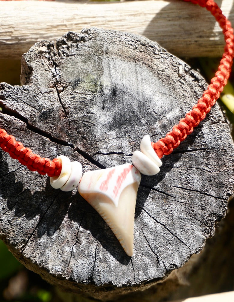 MOP Sharktooth Necklace