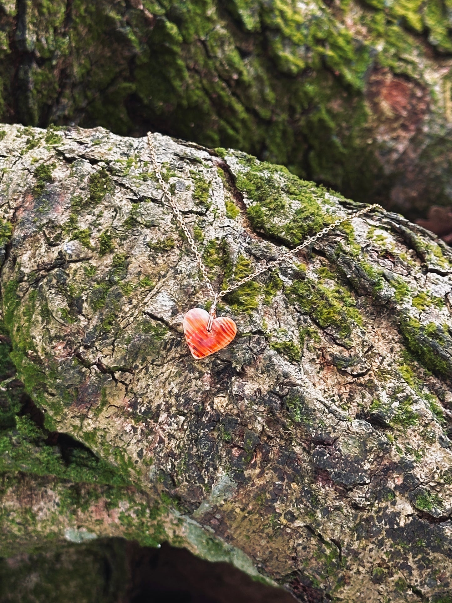 Spondy Heart