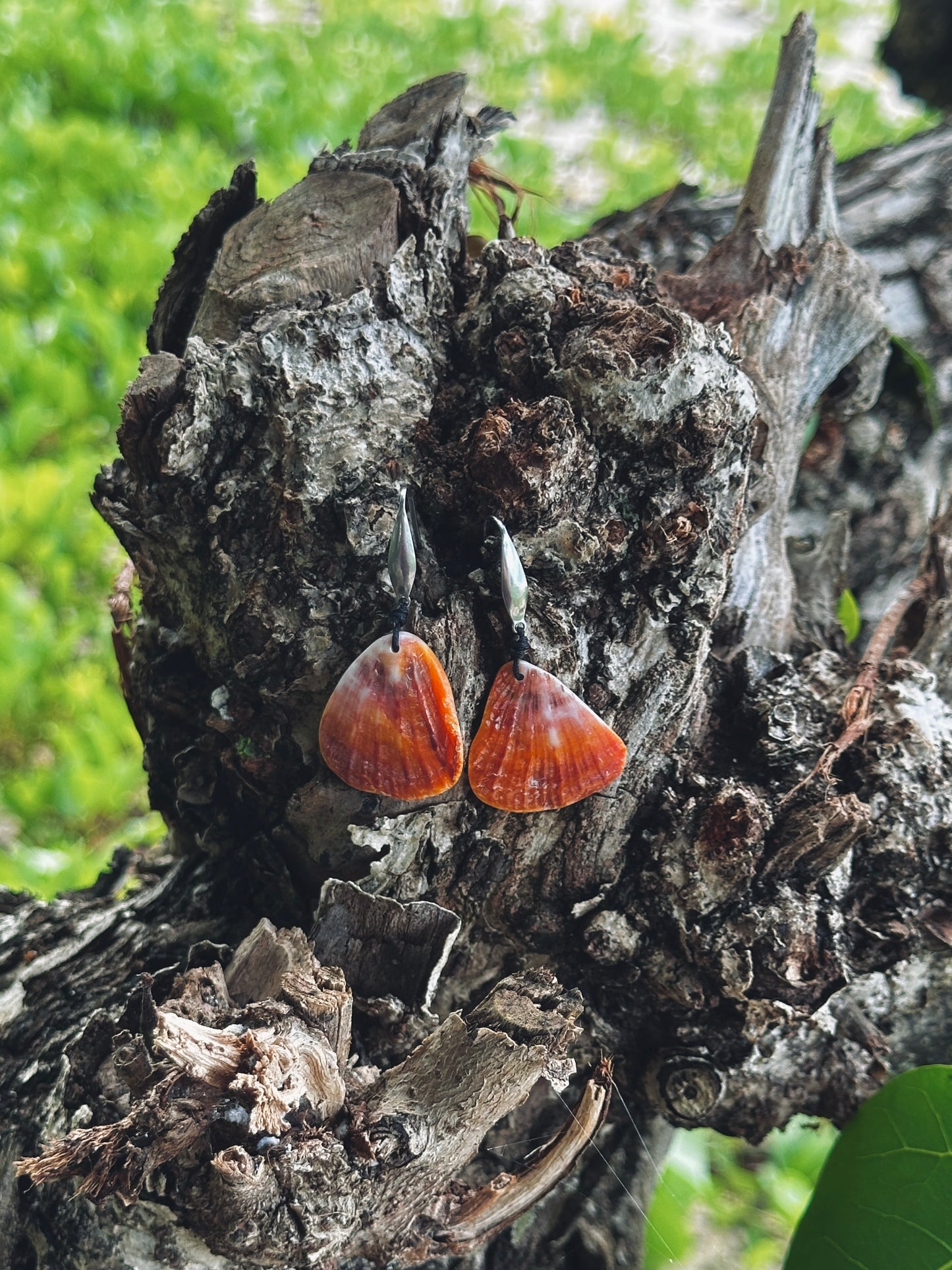 Spondy Dangle Earrings