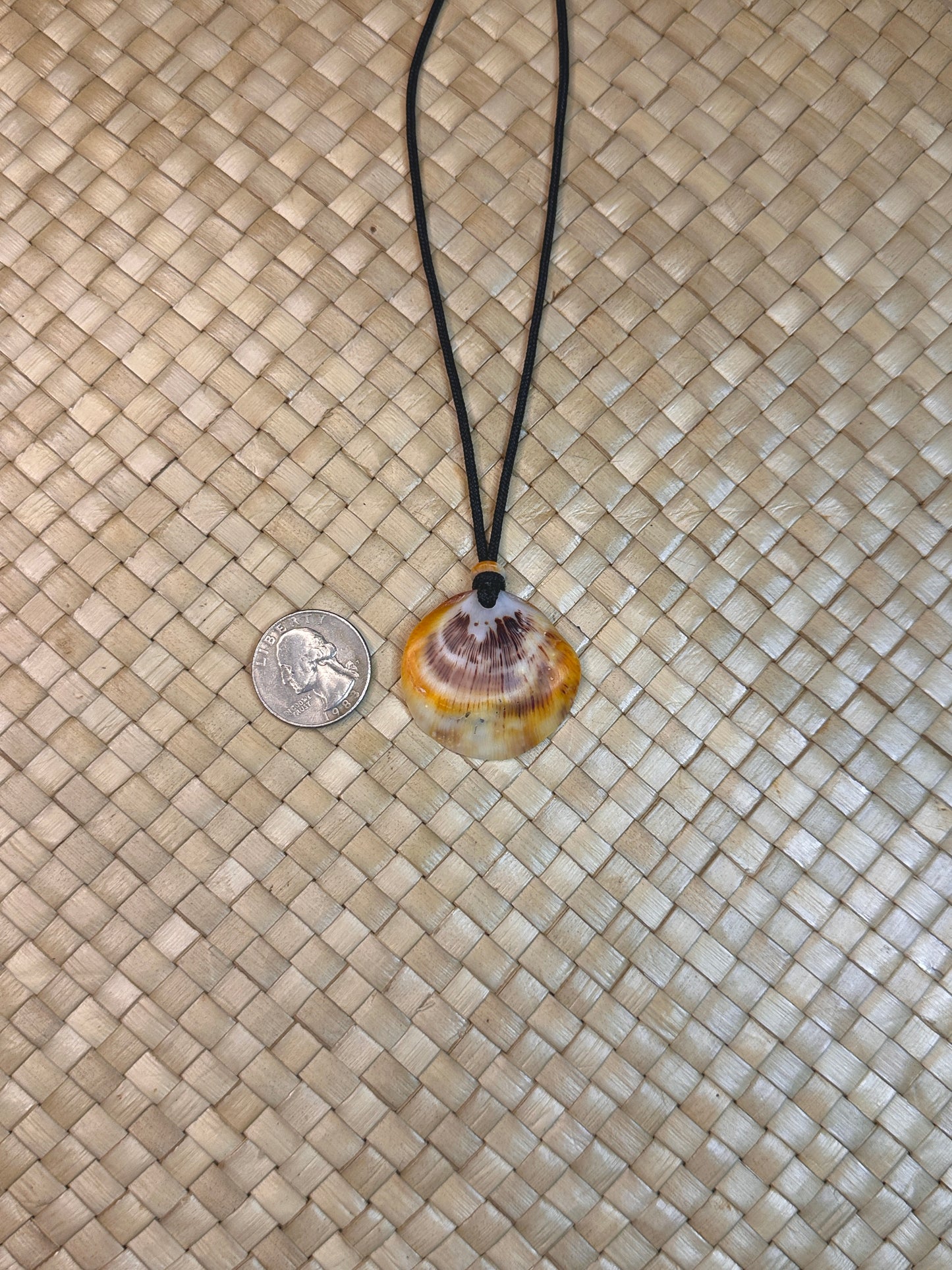 Spondy Shell Necklace 5