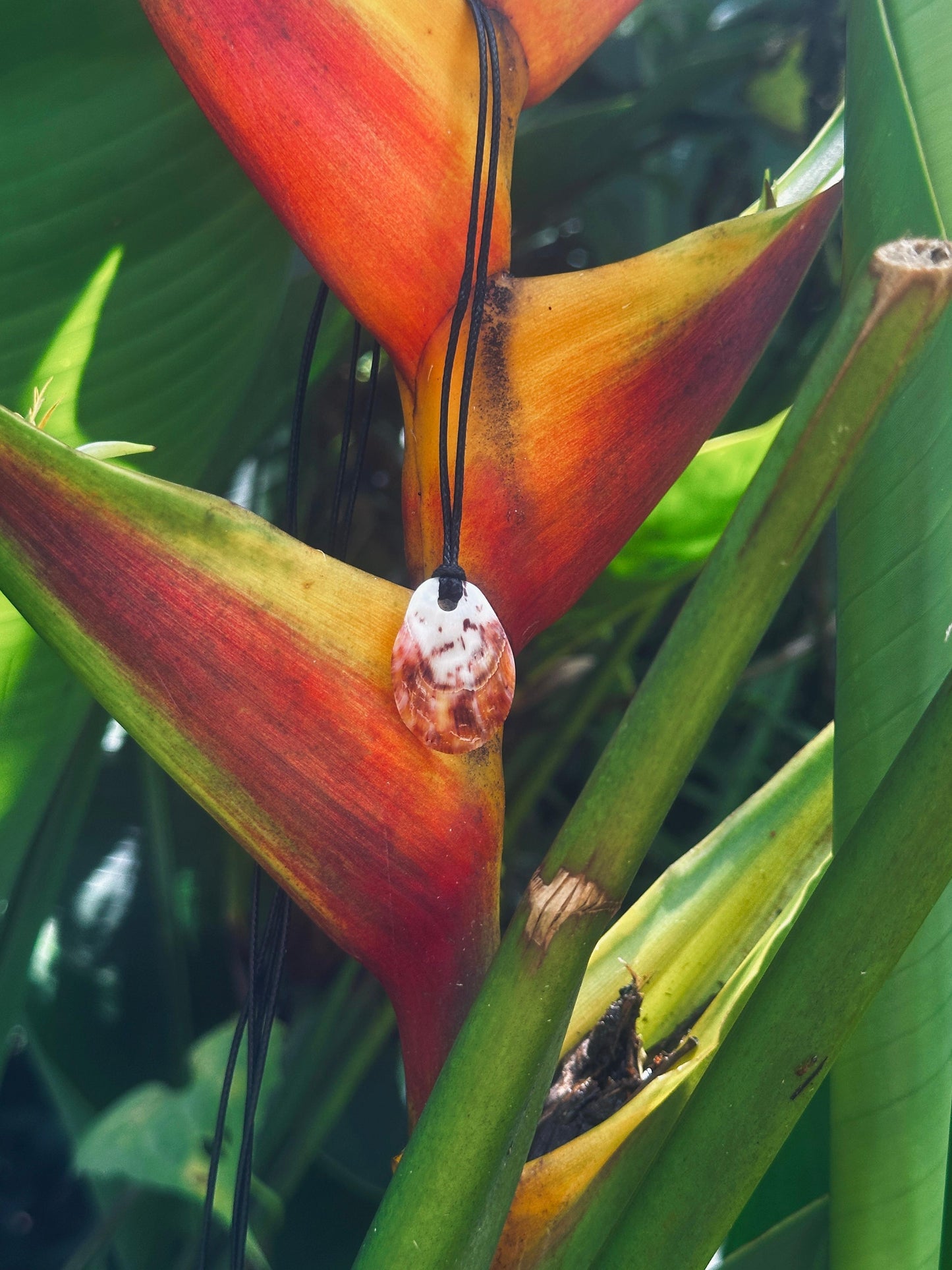 Spondy Necklace Pair 2