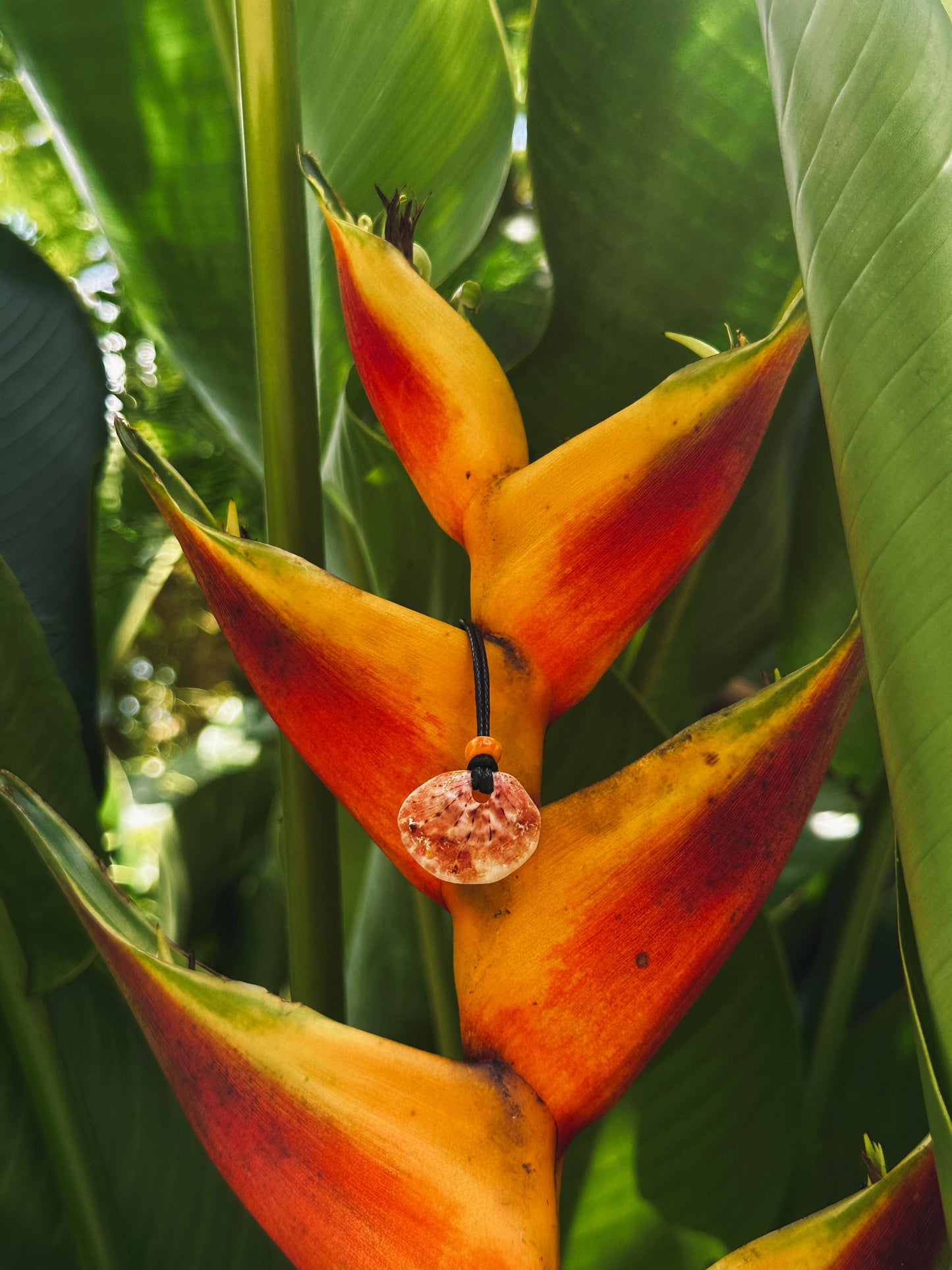 Spondy Necklace Pair 1