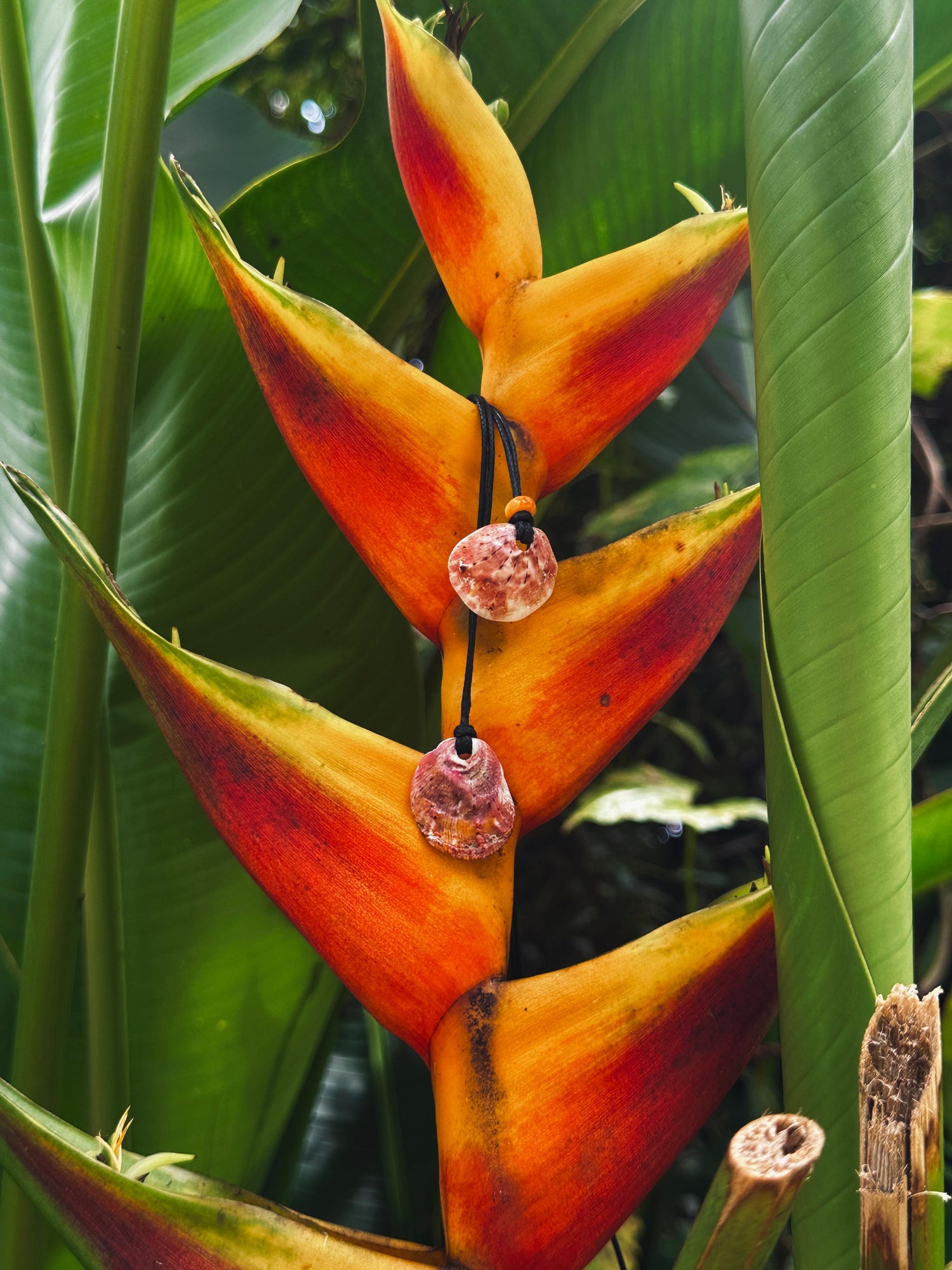 Black Cord Necklaces/Bracelets