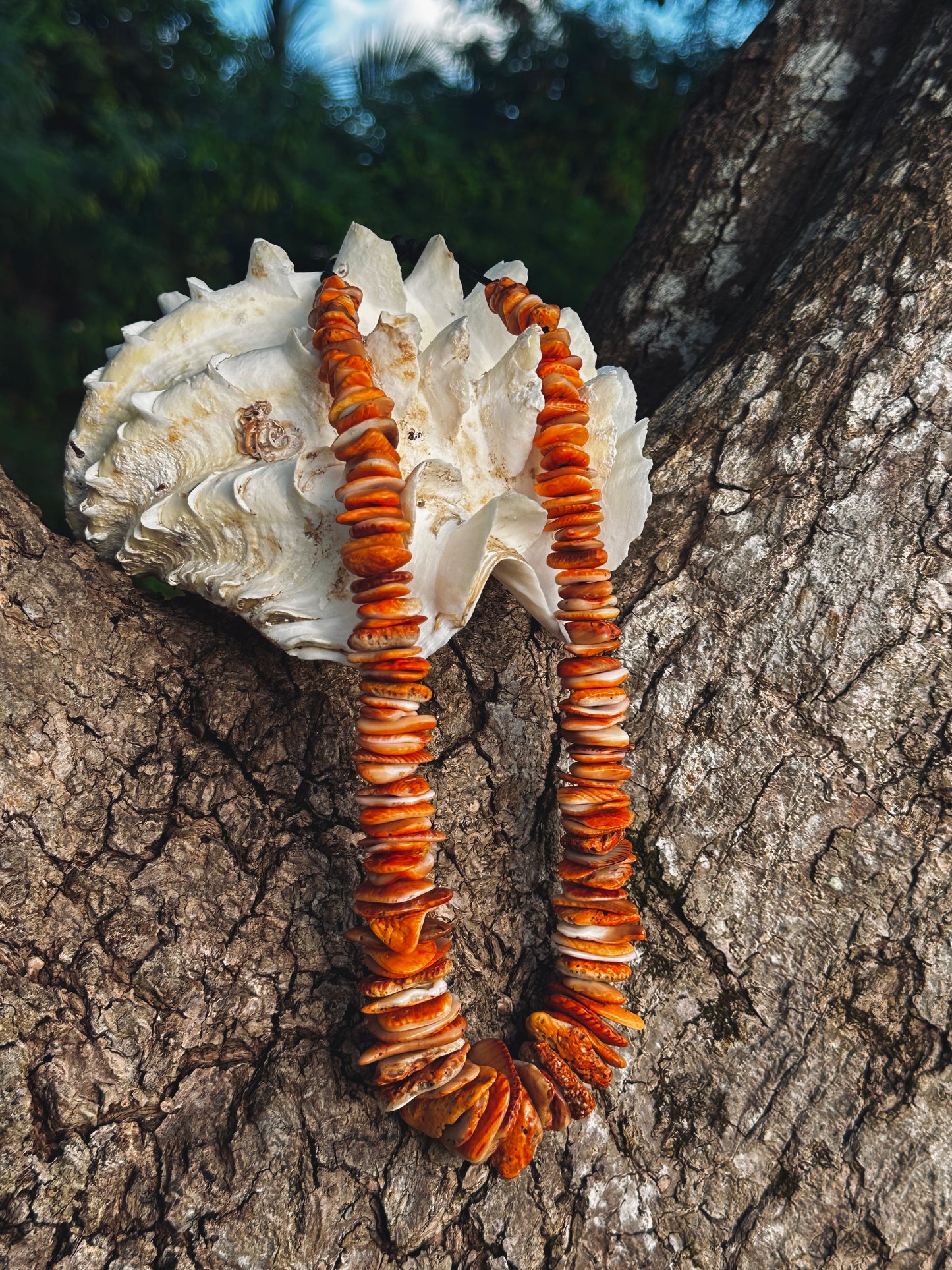 Mariånas Spondy Shard Necklace