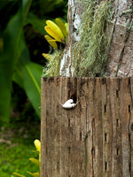 Load image into Gallery viewer, Dainty Napu Anklet 3
