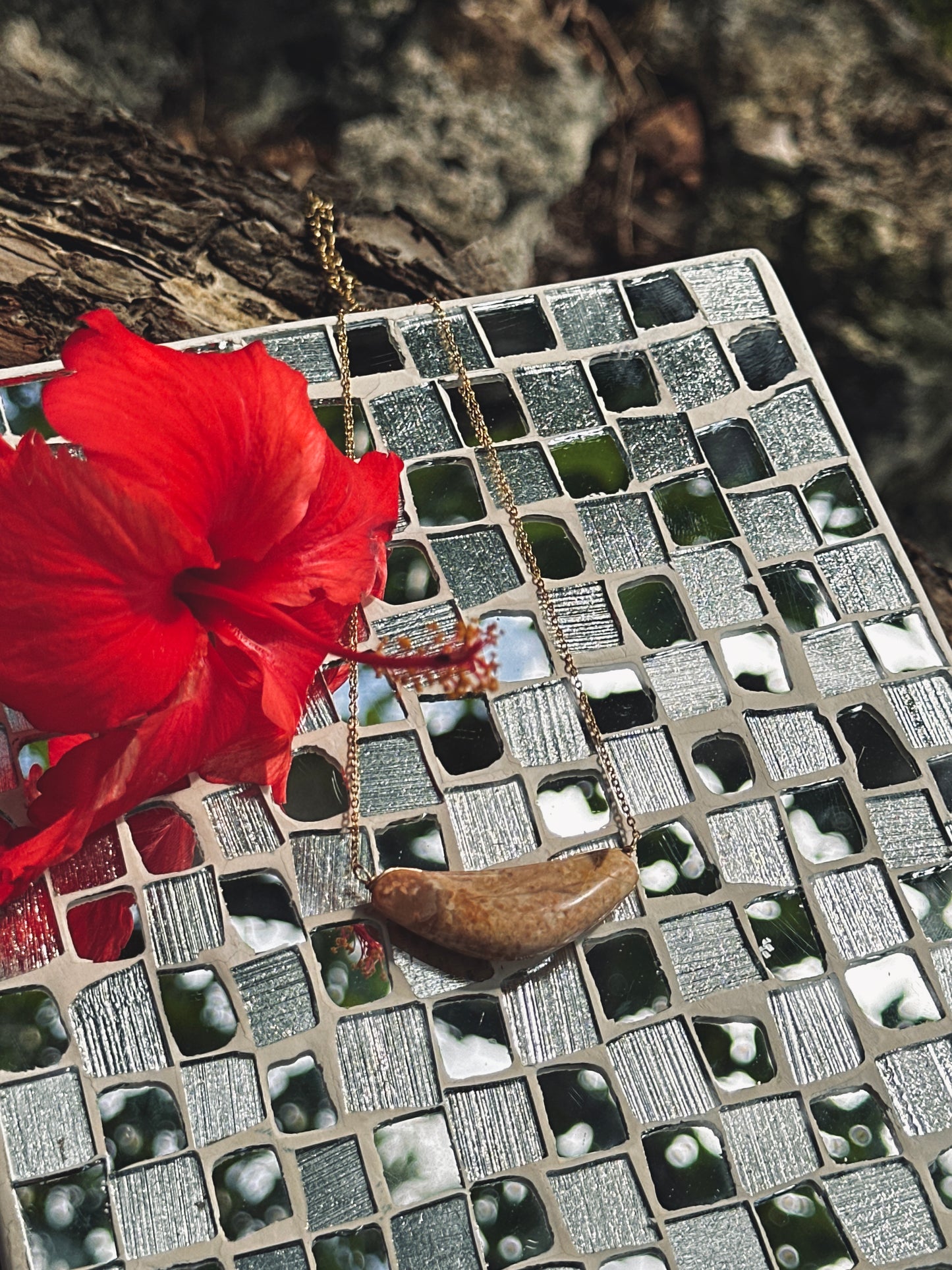 Acho’ Neni Sinahi 2