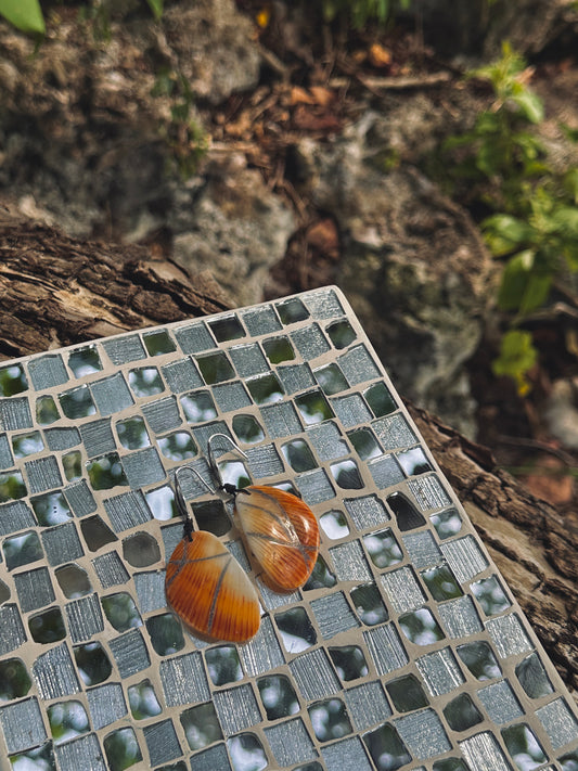 Spondy Dangle Earrings