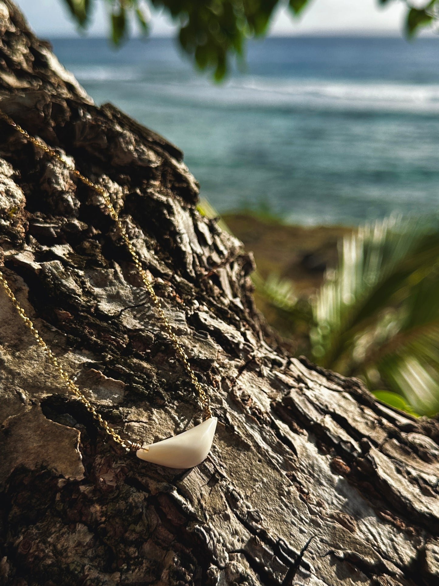 Hima Neni Sinåhi 11