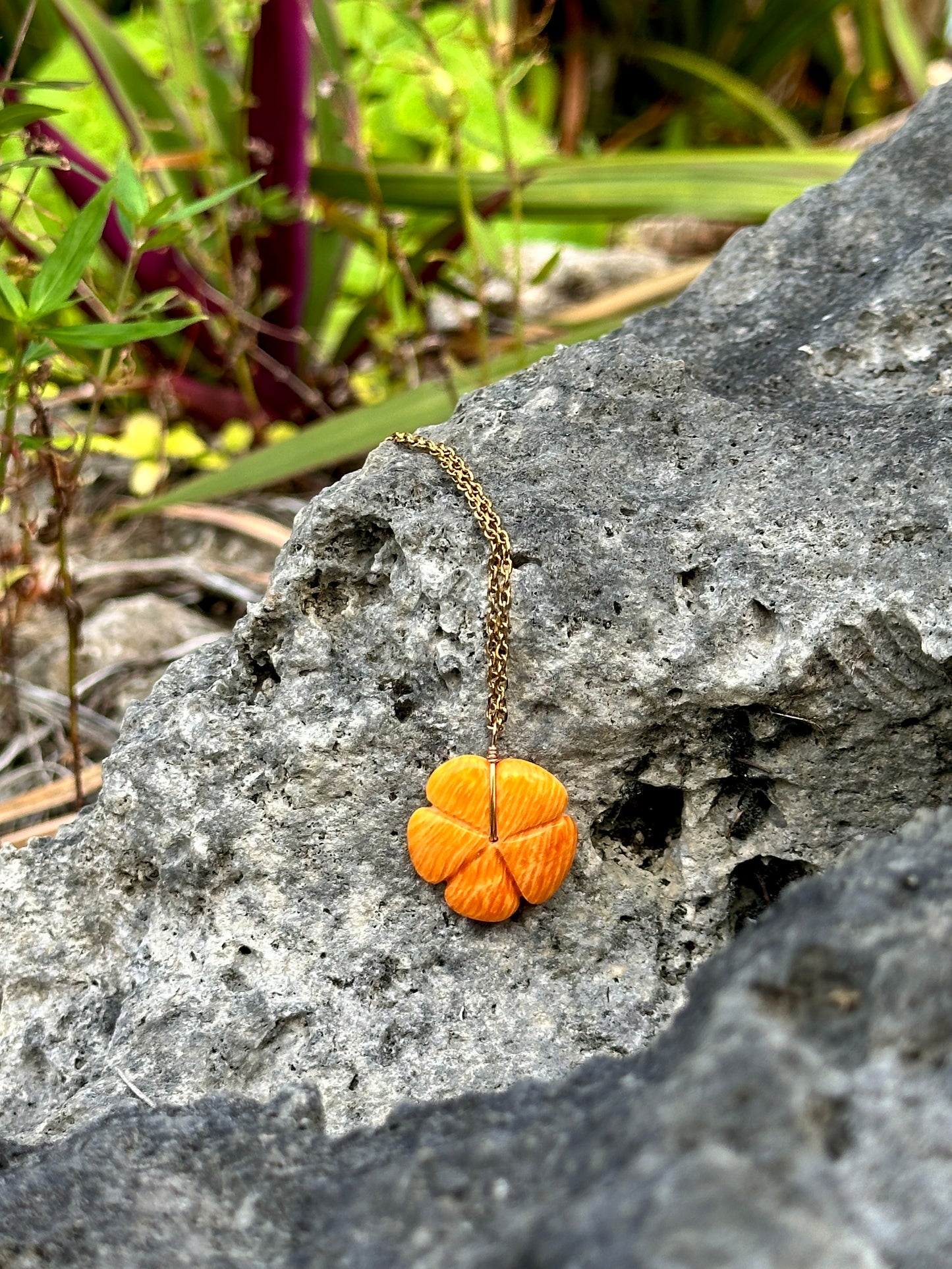 Pagan Spondy Hibiscus 1