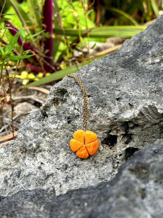 Pagan Spondy Hibiscus 1