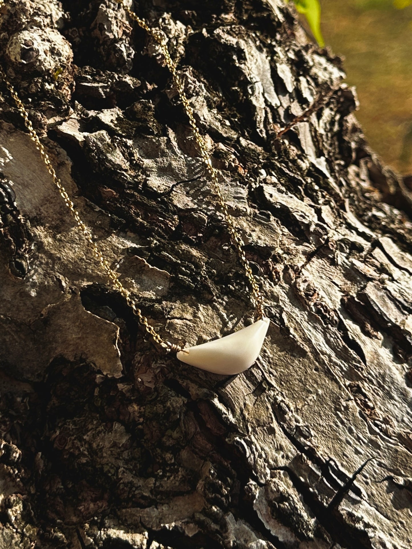 Hima Neni Sinåhi 11