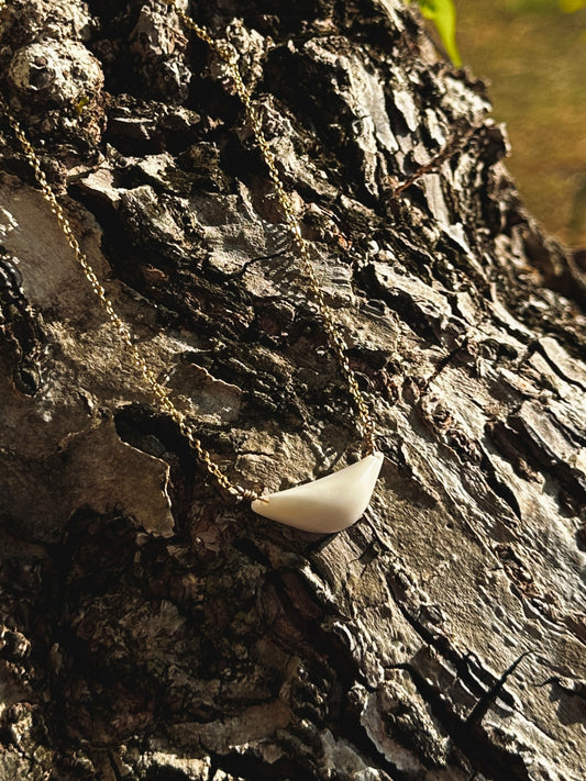 Hima Neni Sinåhi 11