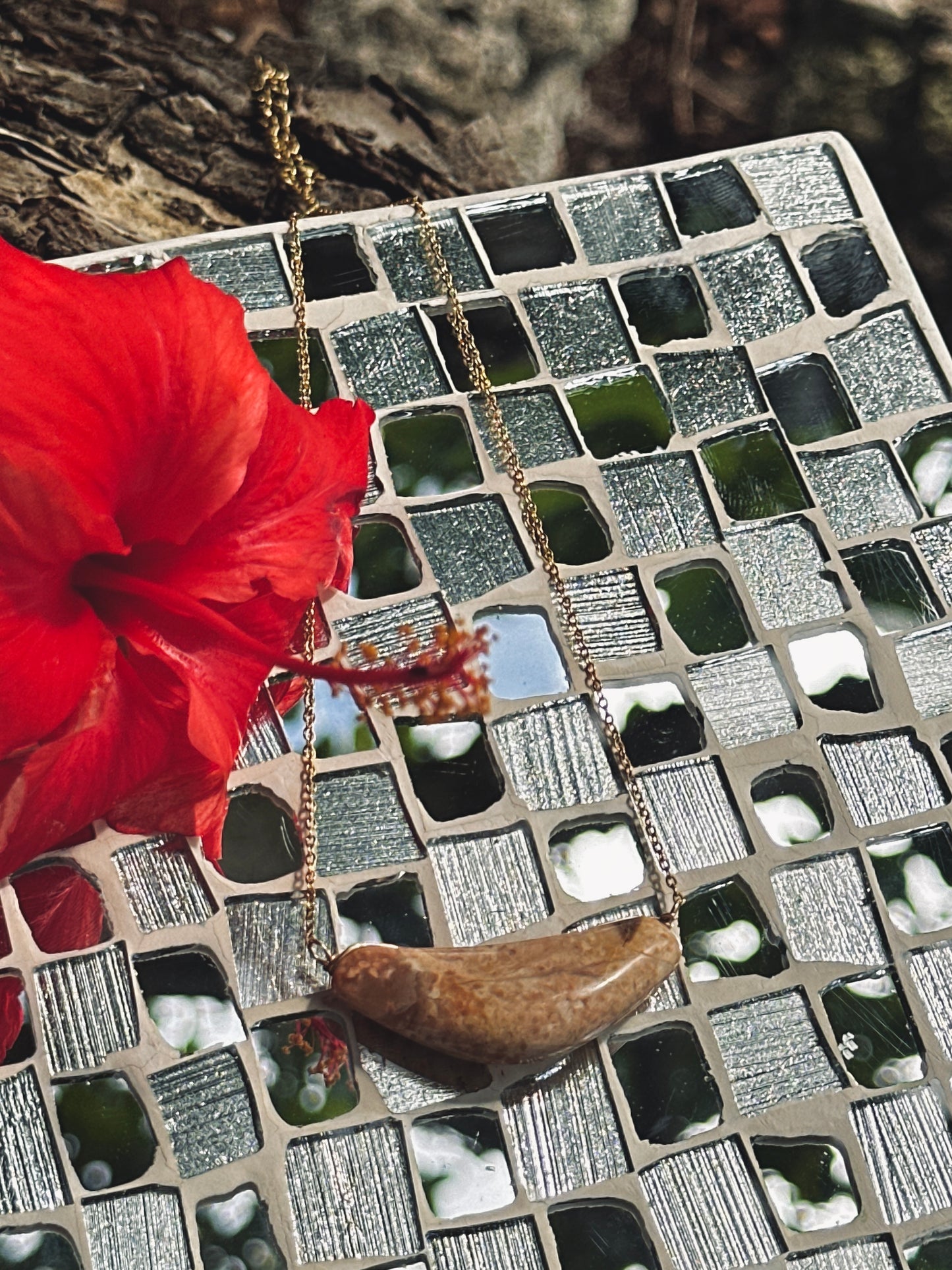 Acho’ Neni Sinahi 2