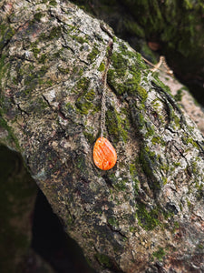 Spondy Teardrop