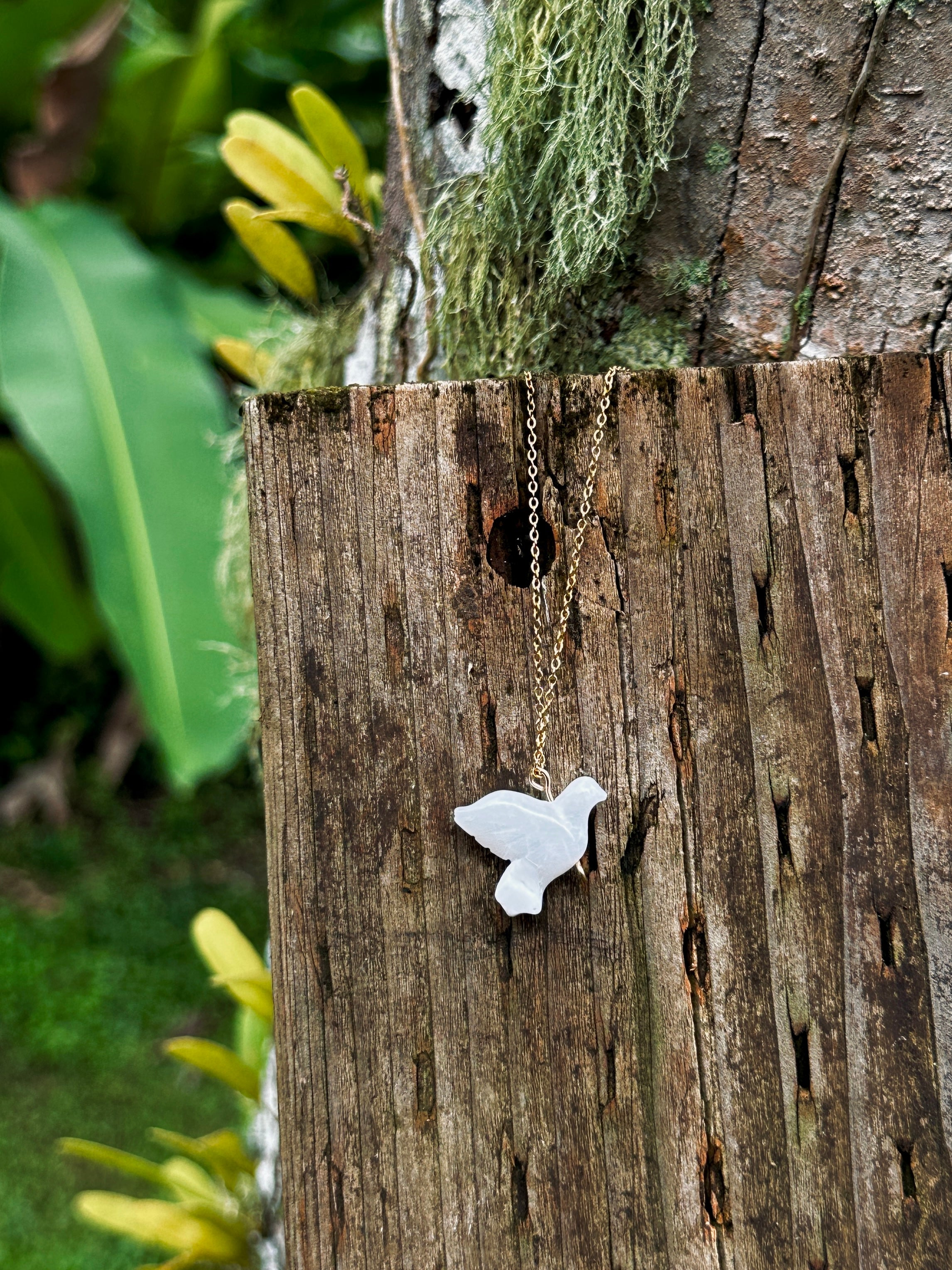 Dainty Hima Dove