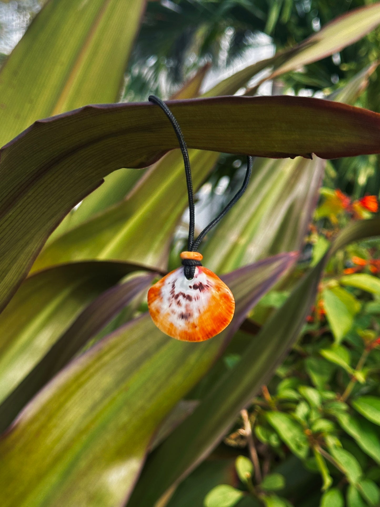 Spondy Shell Necklace 2