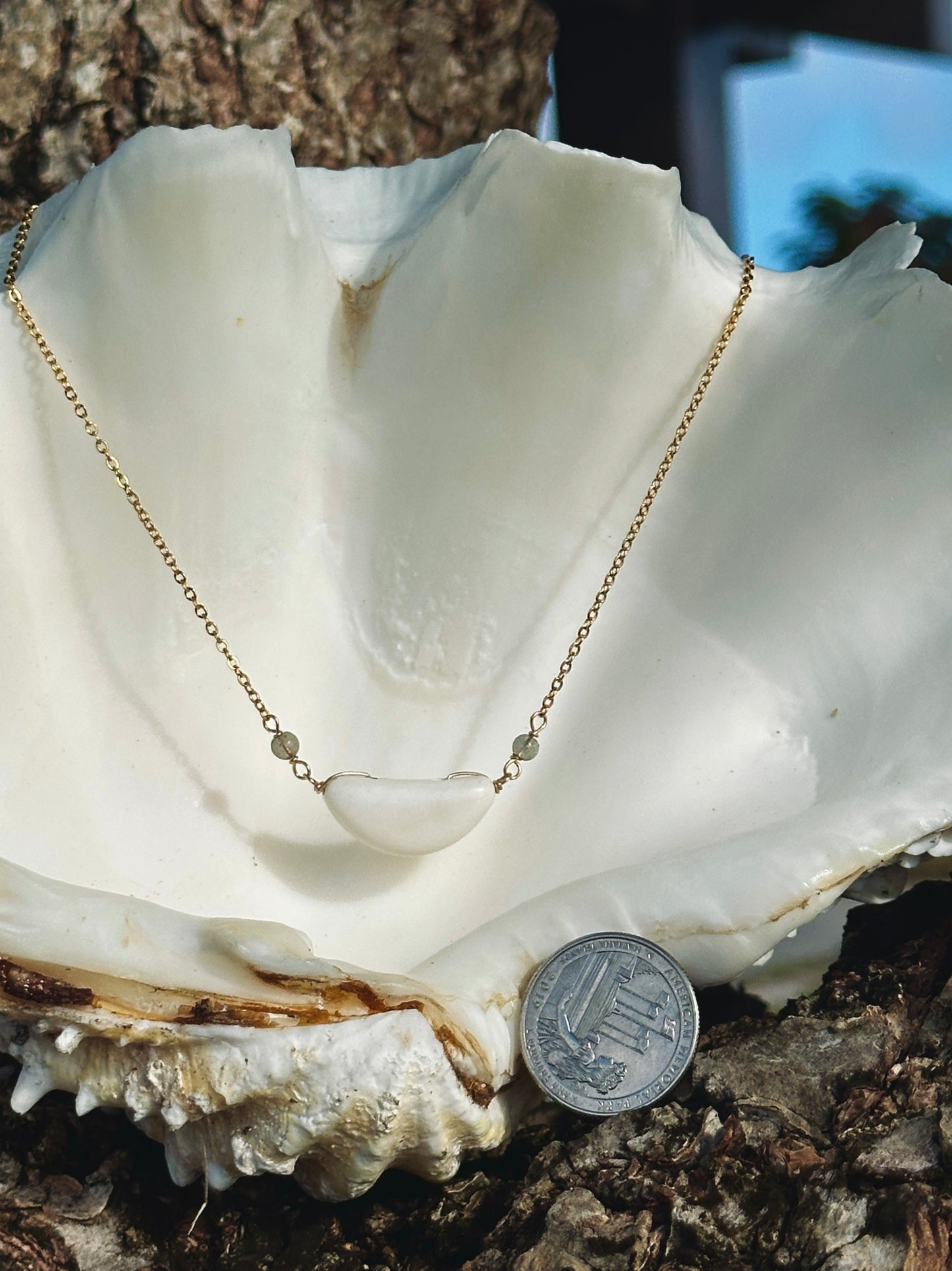 Hima Neni Sinåhi 10