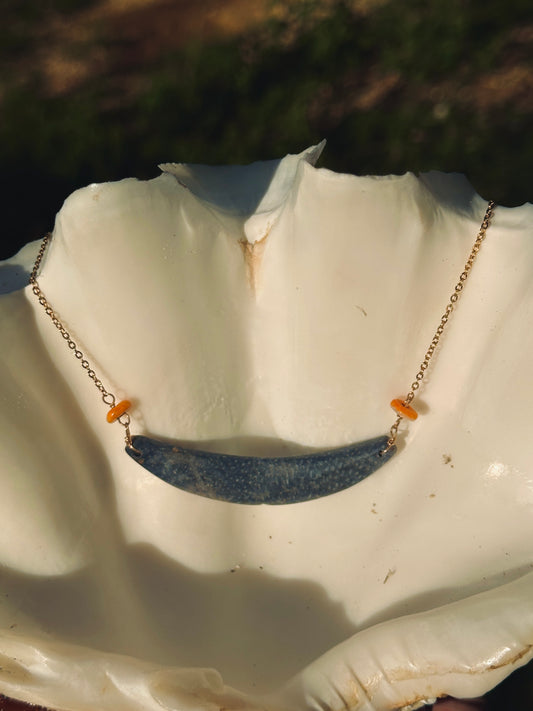 Blue Coral Neni Sinåhi 1