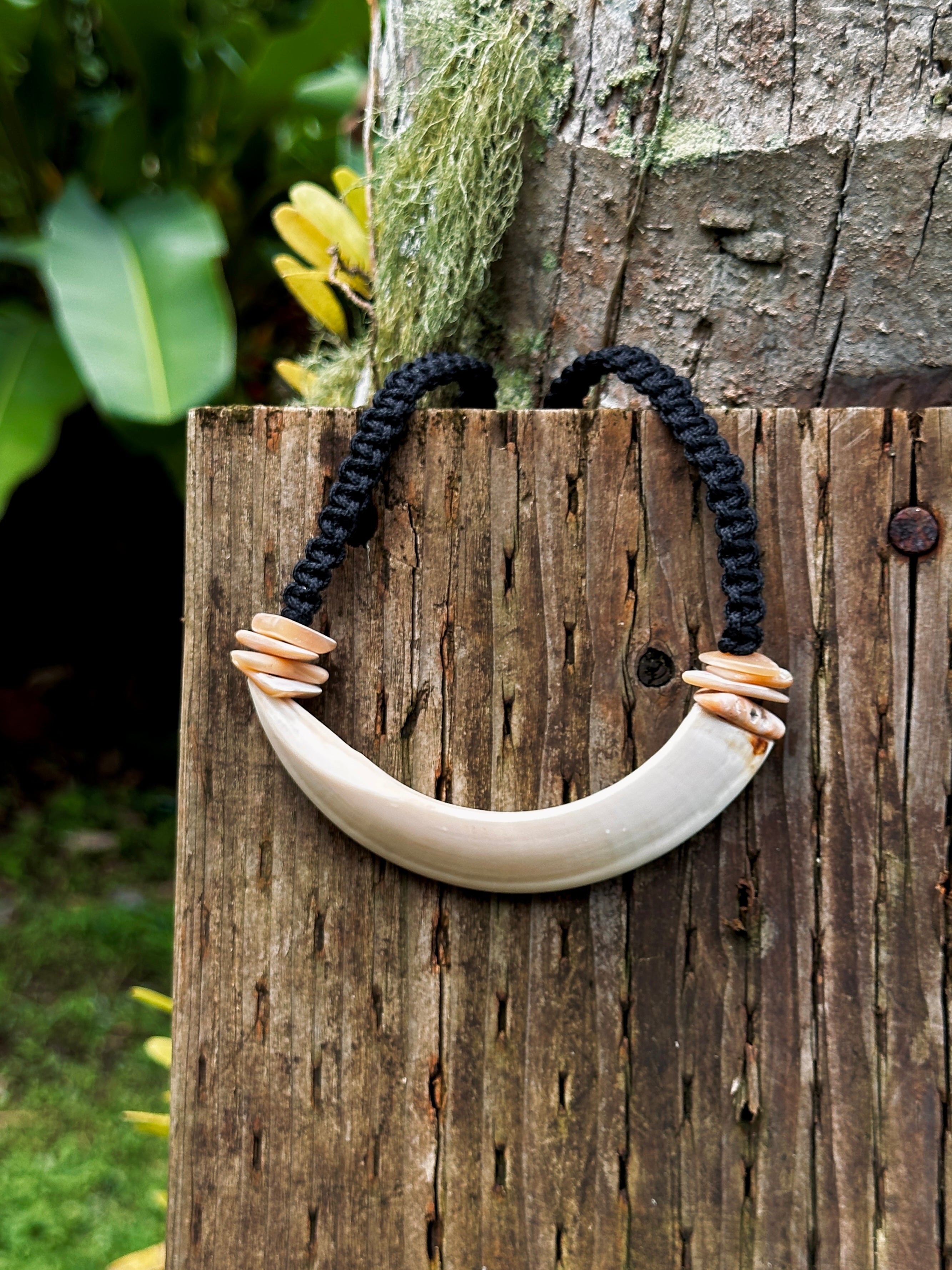 Boar Tusk Necklace