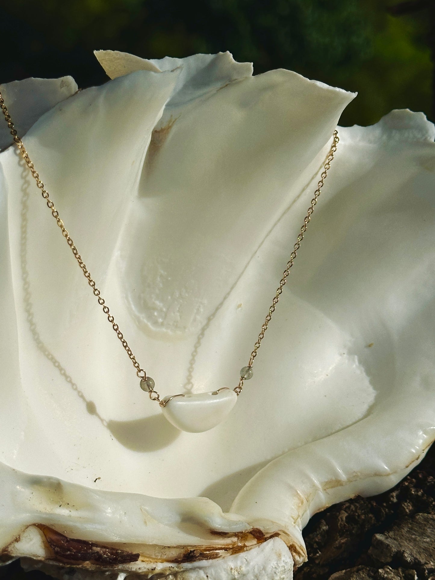 Hima Neni Sinåhi 10