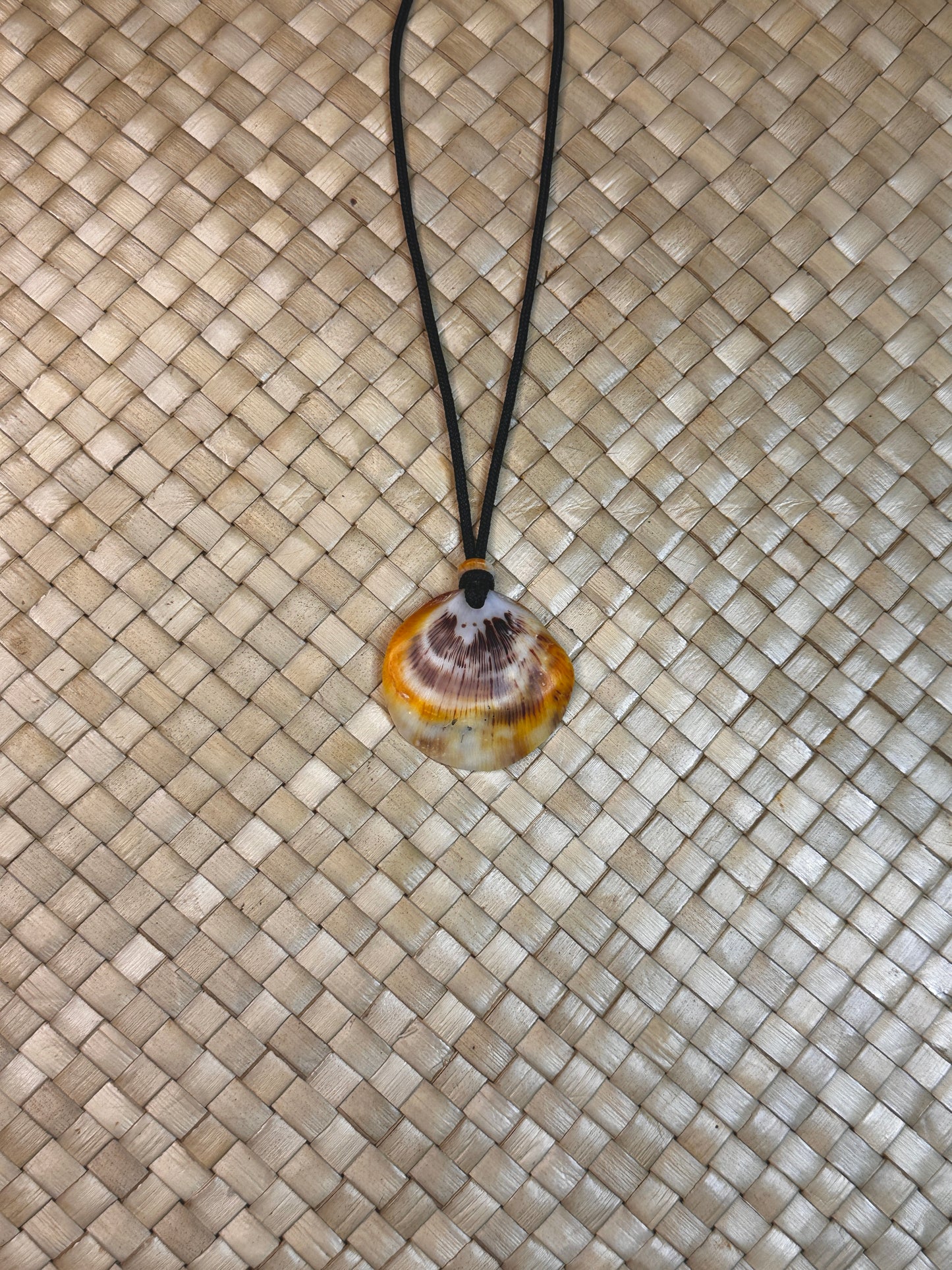 Spondy Shell Necklace 5