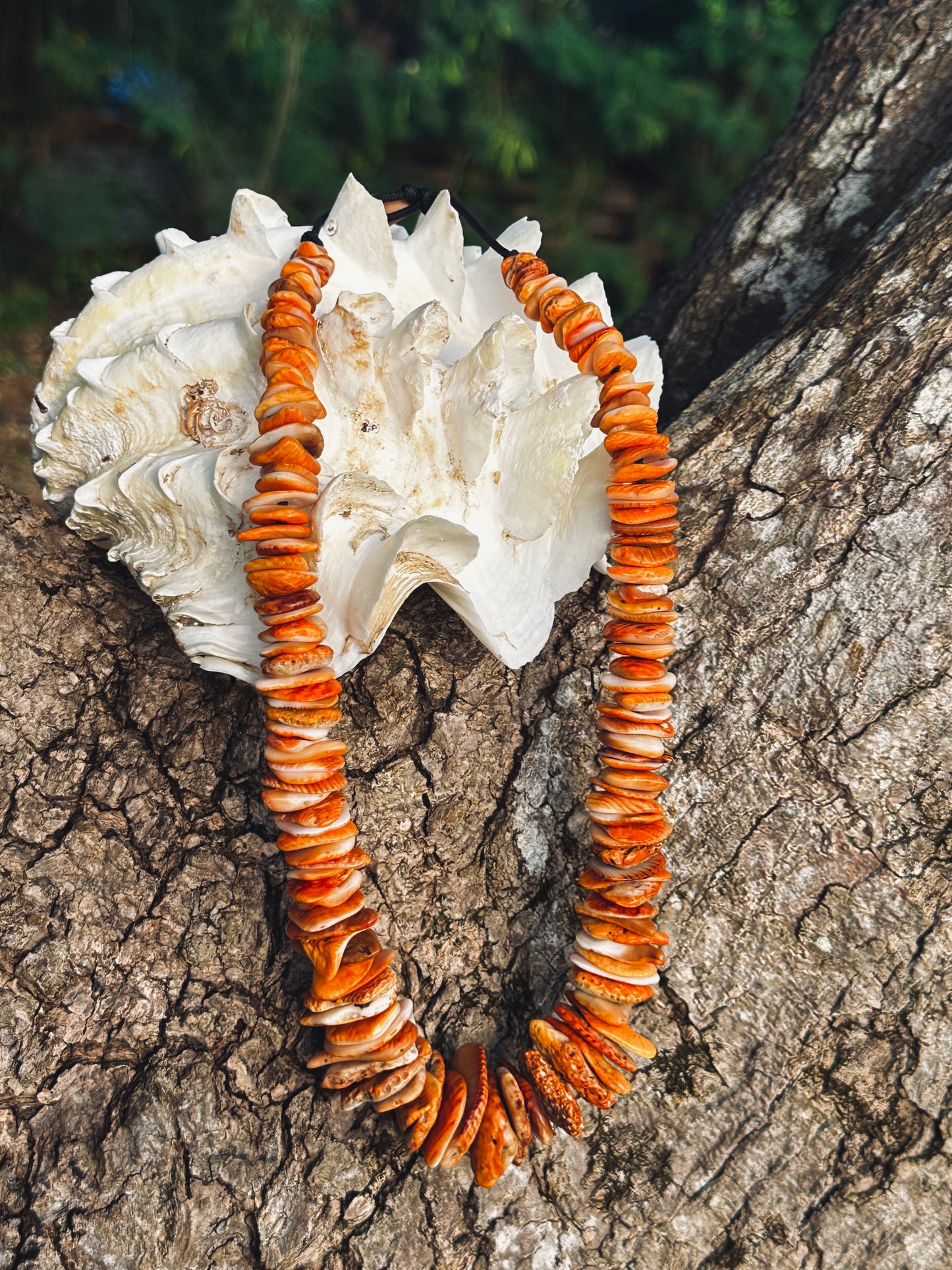 Spondylus, Mariånas Spondylus, Mariånas Spondy, Mariånas spondylus shard necklace.
