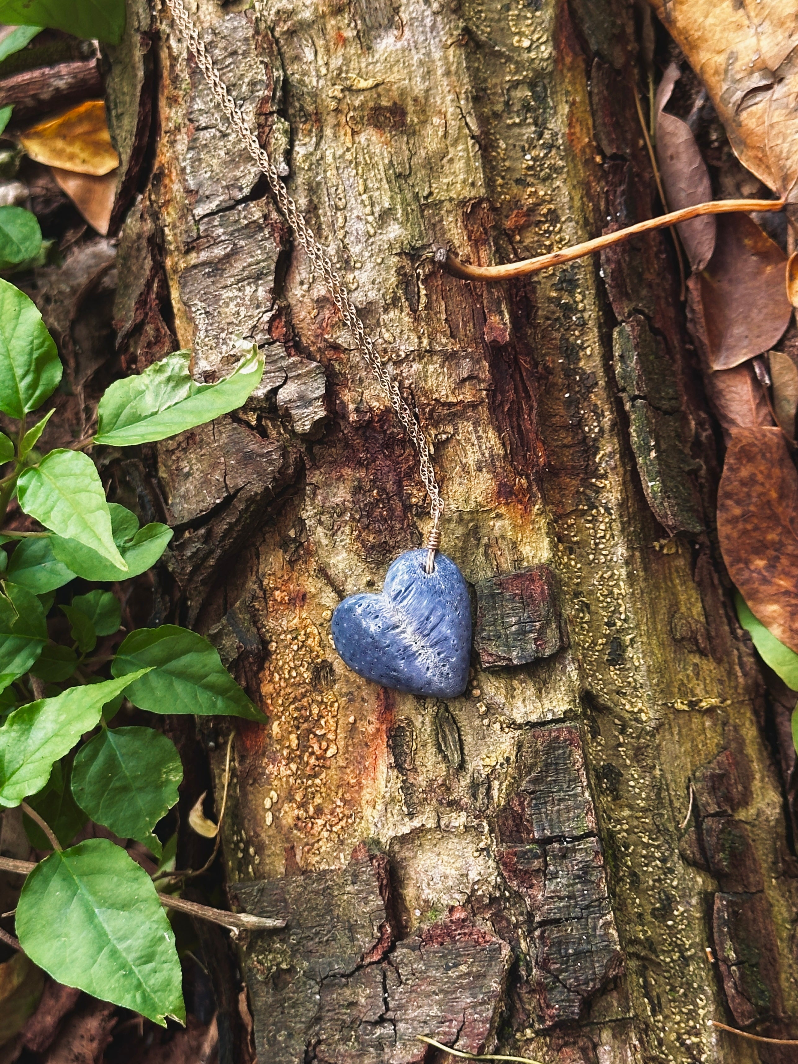 Blue Coral Heart