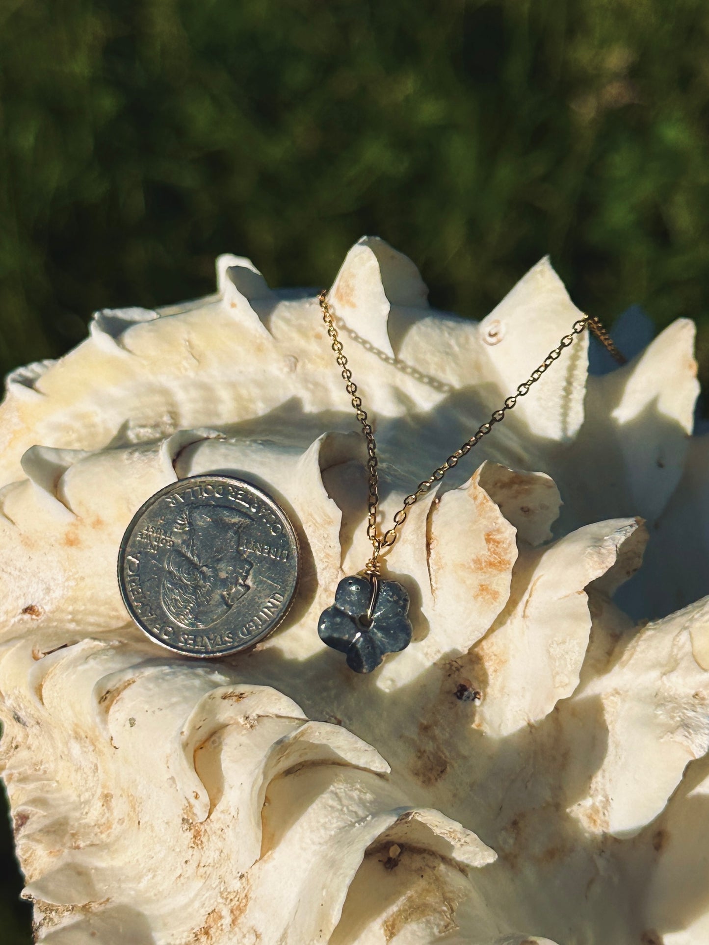 Dainty Blue Coral Hibiscus 3