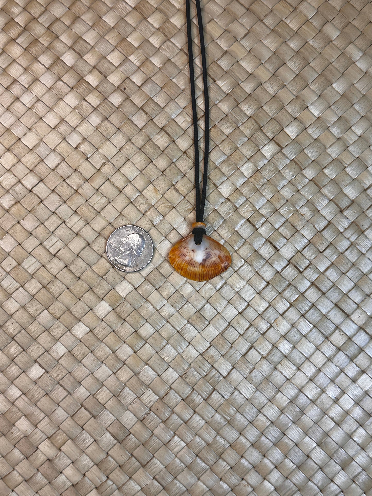 Spondy Shell Necklace 1