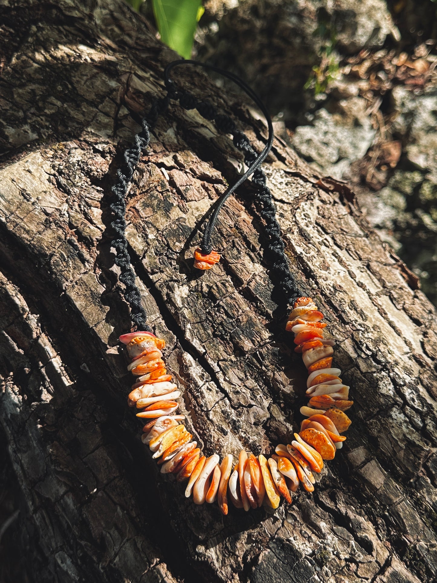 Spondy Shard Necklace