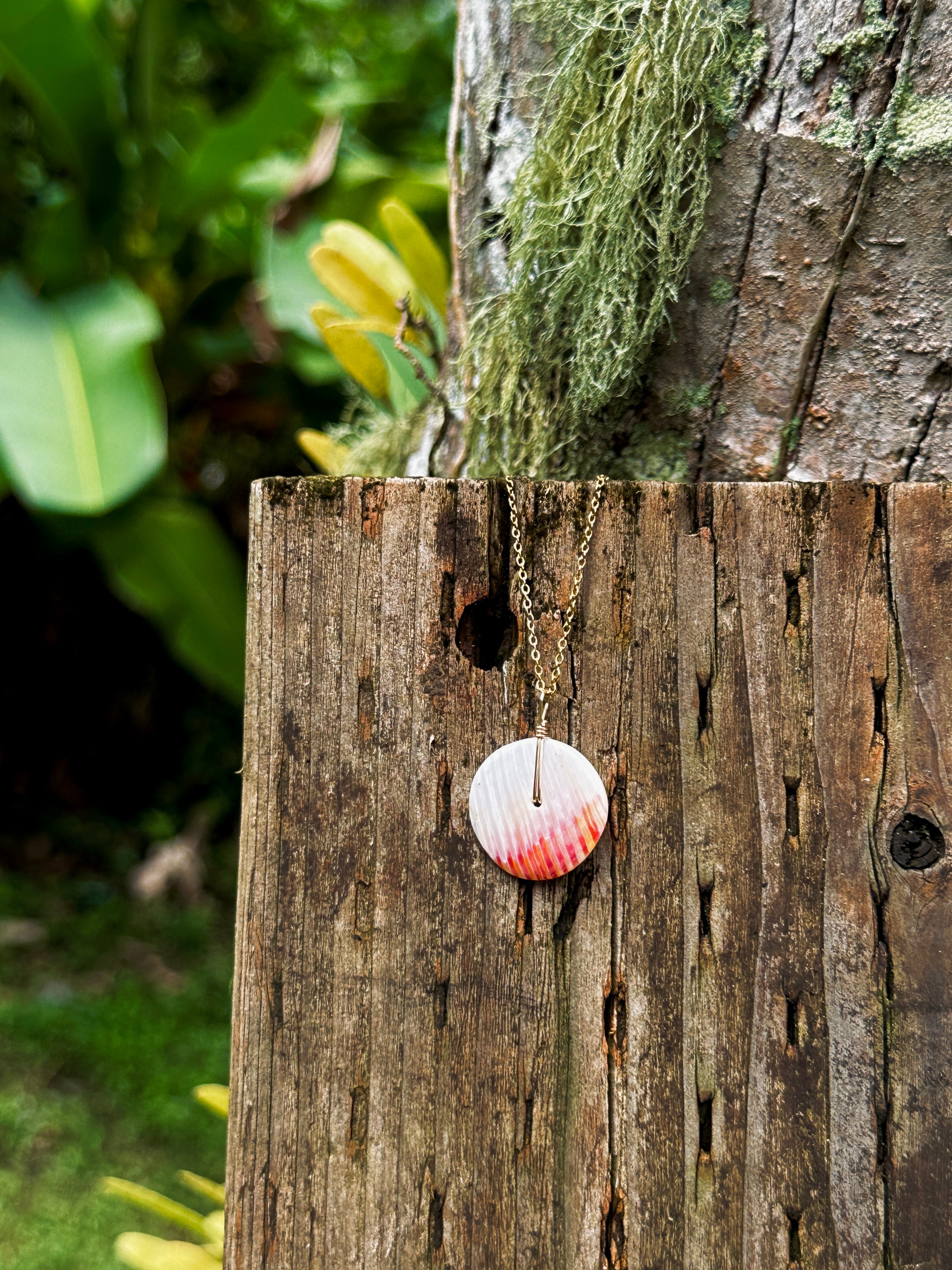 Spondy Moneybead 2