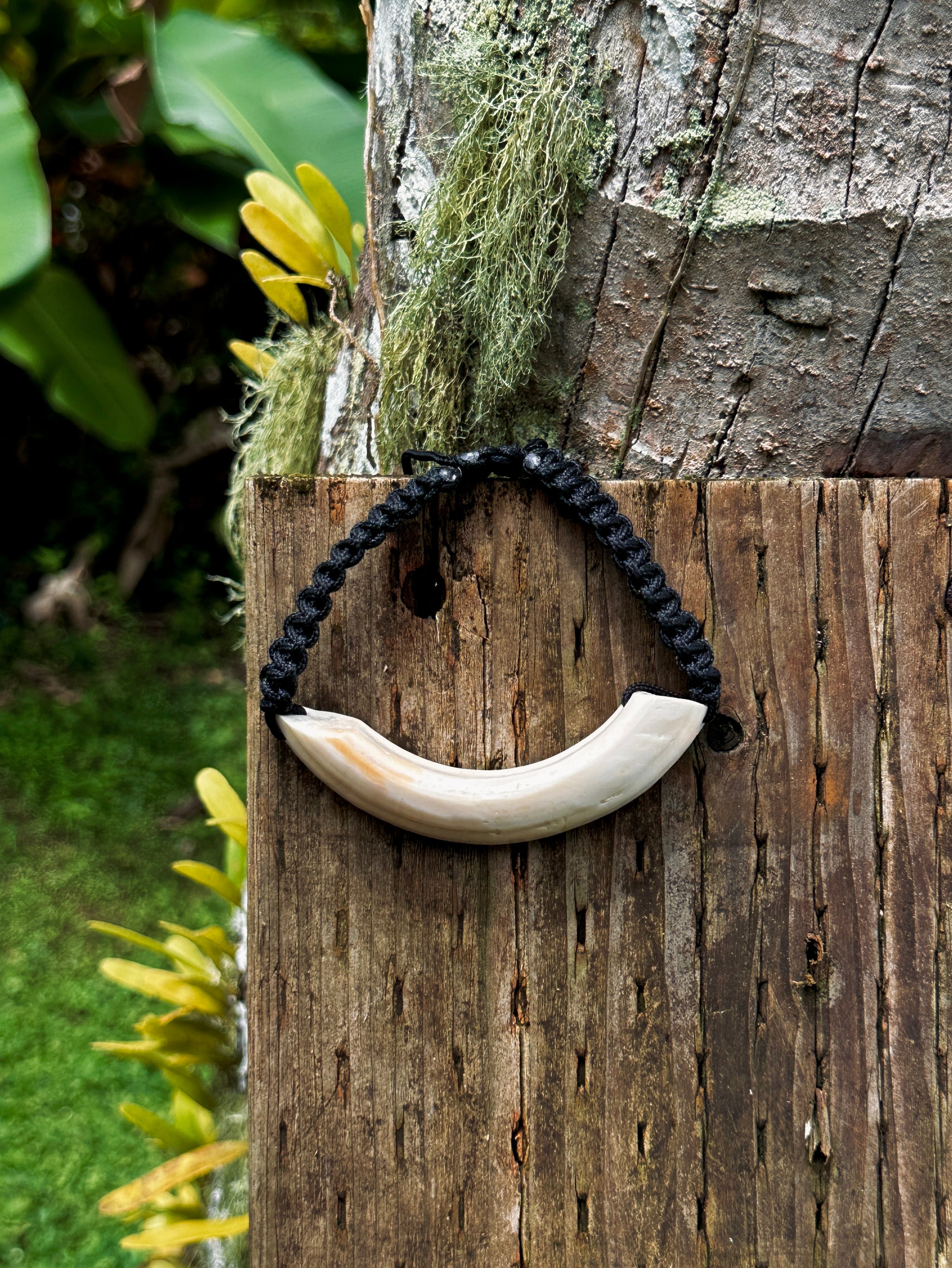 Boar Tusk Bracelet
