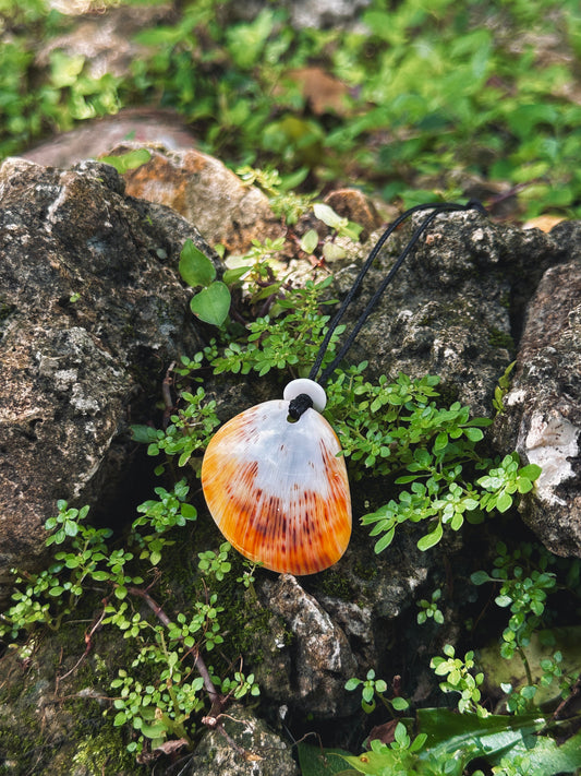 Spondy Shell Necklace 2