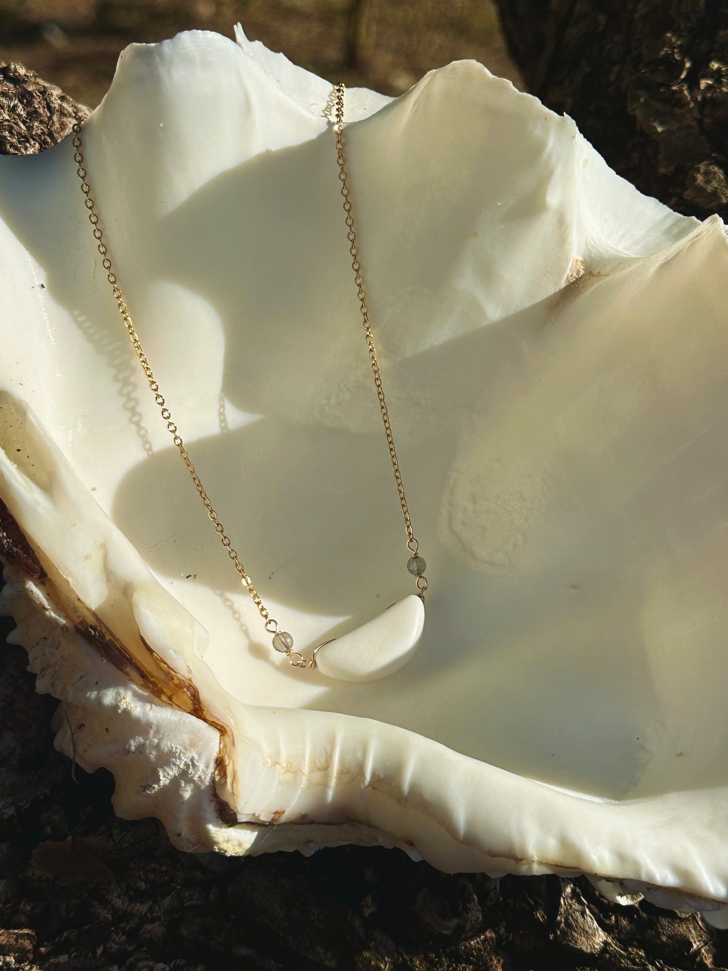 Hima Neni Sinåhi 10