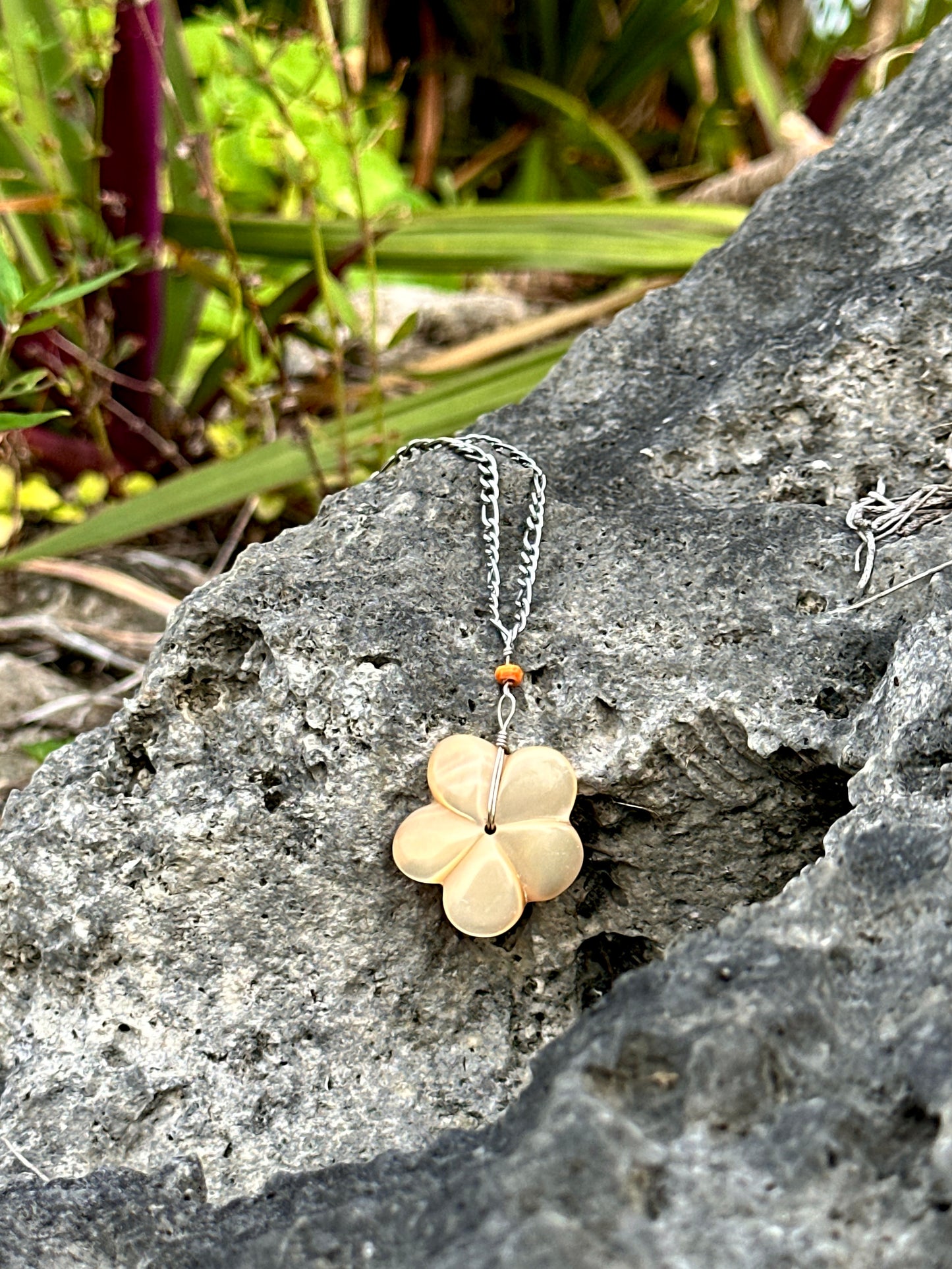 MOP Plumeria