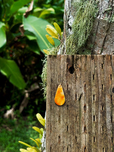 Spondy Teardrop