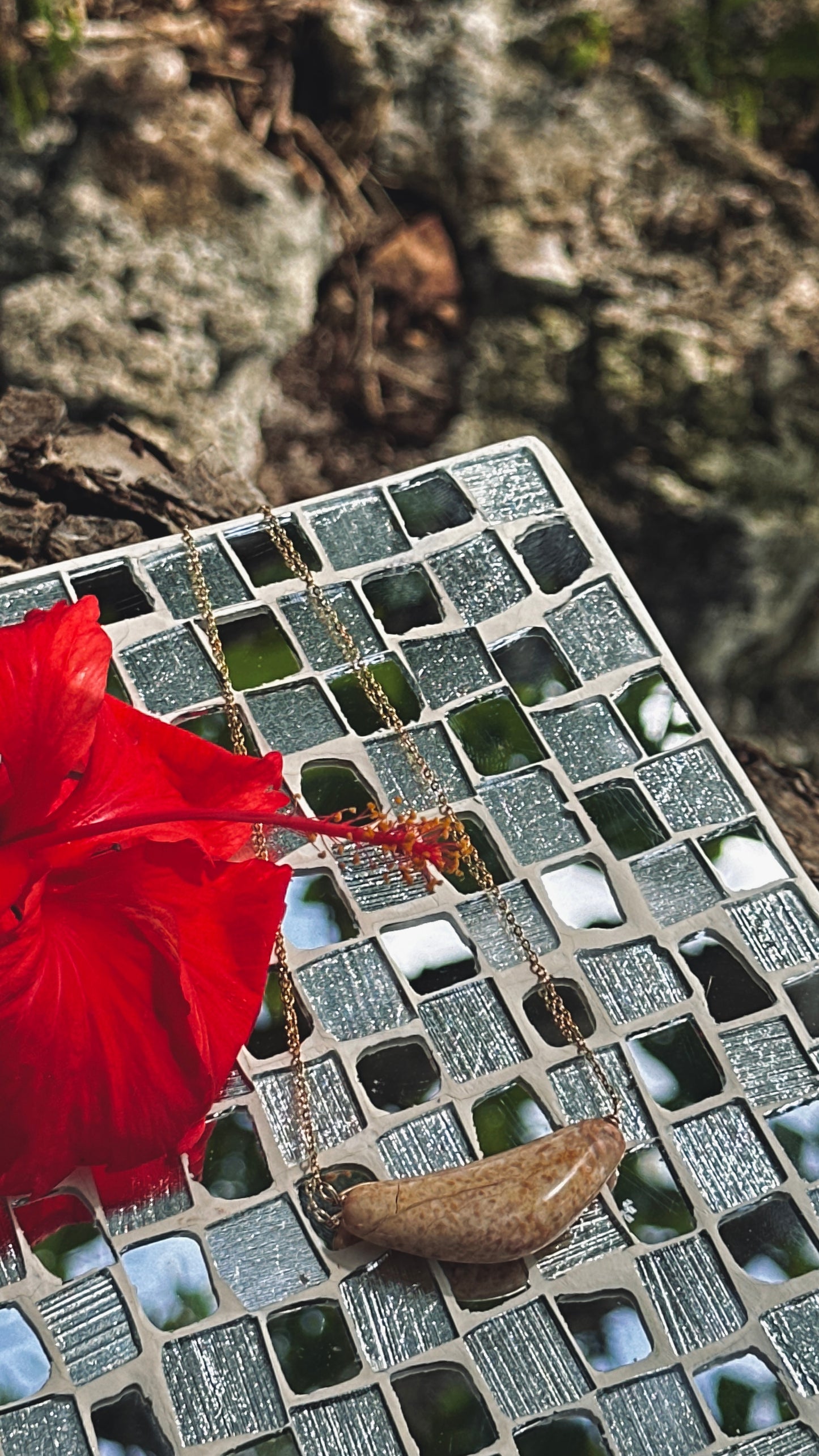 Acho’ Neni Sinahi 2