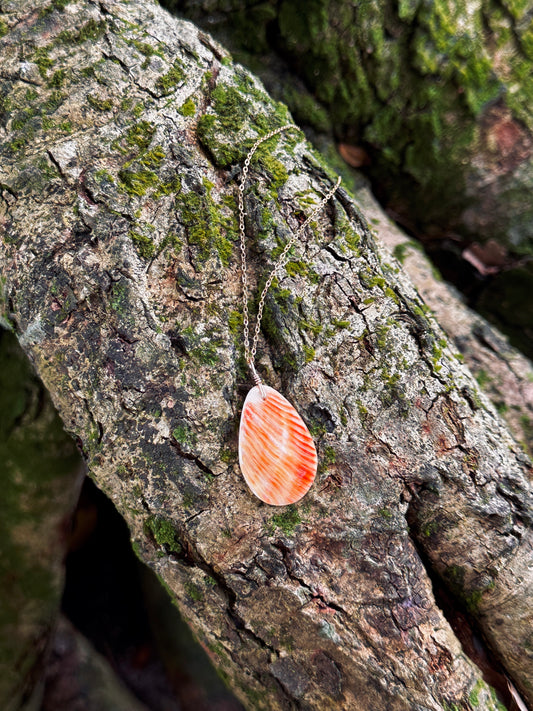 Spondy Teardrop