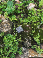 Load image into Gallery viewer, Green Coral Gaosali
