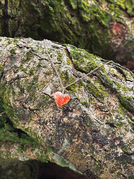 Spondy Heart