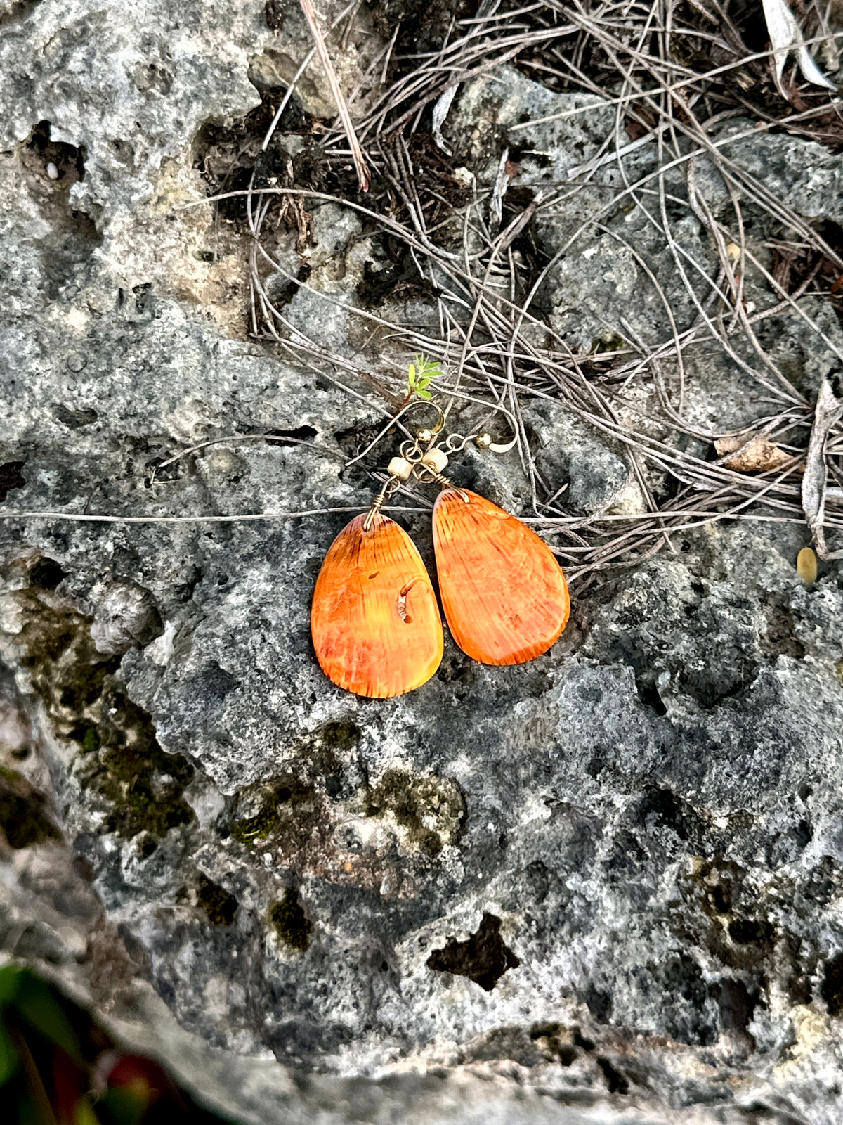Spondylus Dangle Earrings