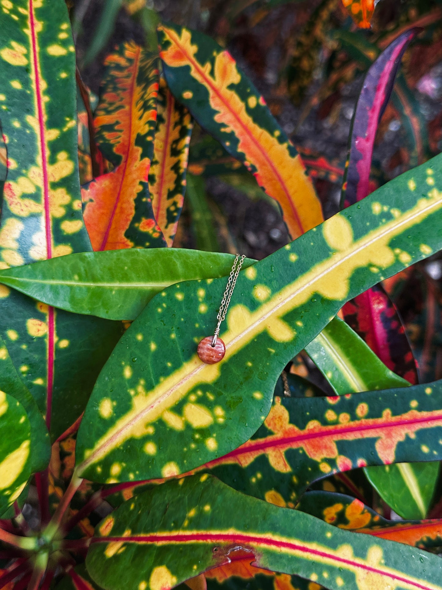 Neni Spondy Moneybead